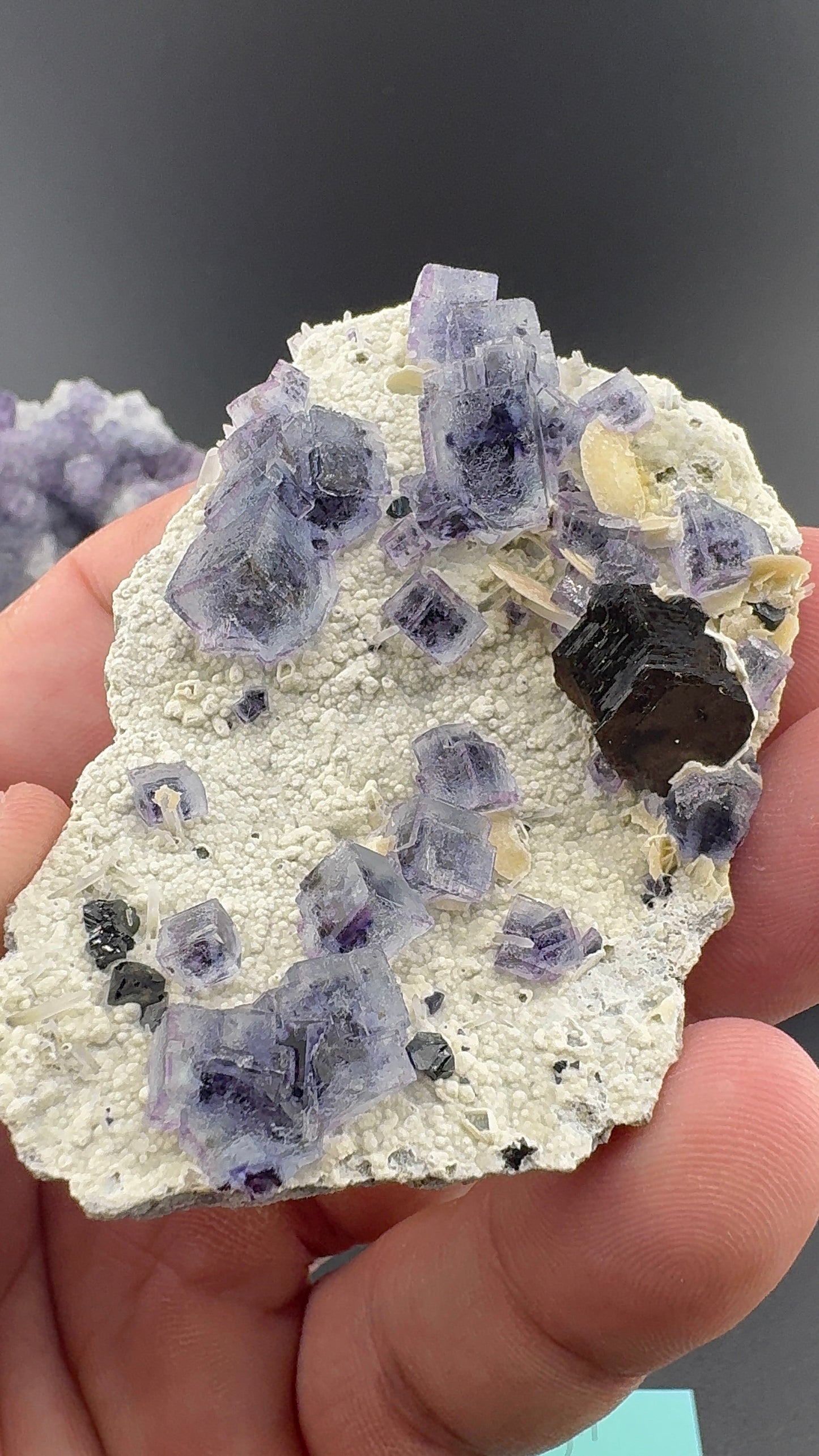 Purple Phantom Fluorite Formation (S13)