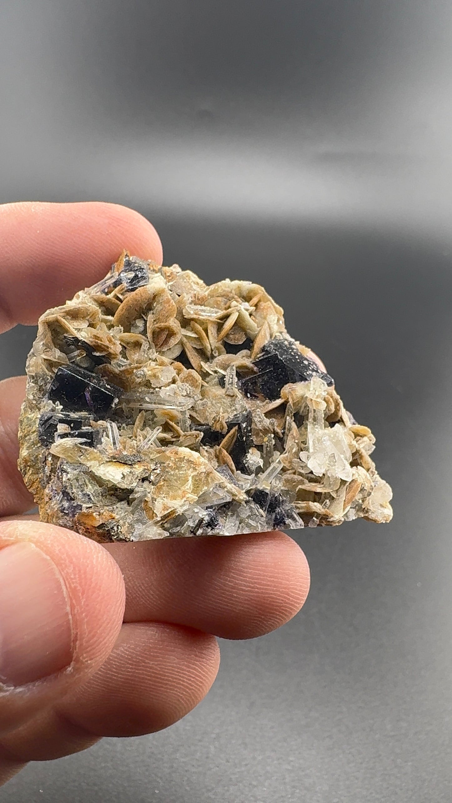 Yindu Fluorite Formation (S35)