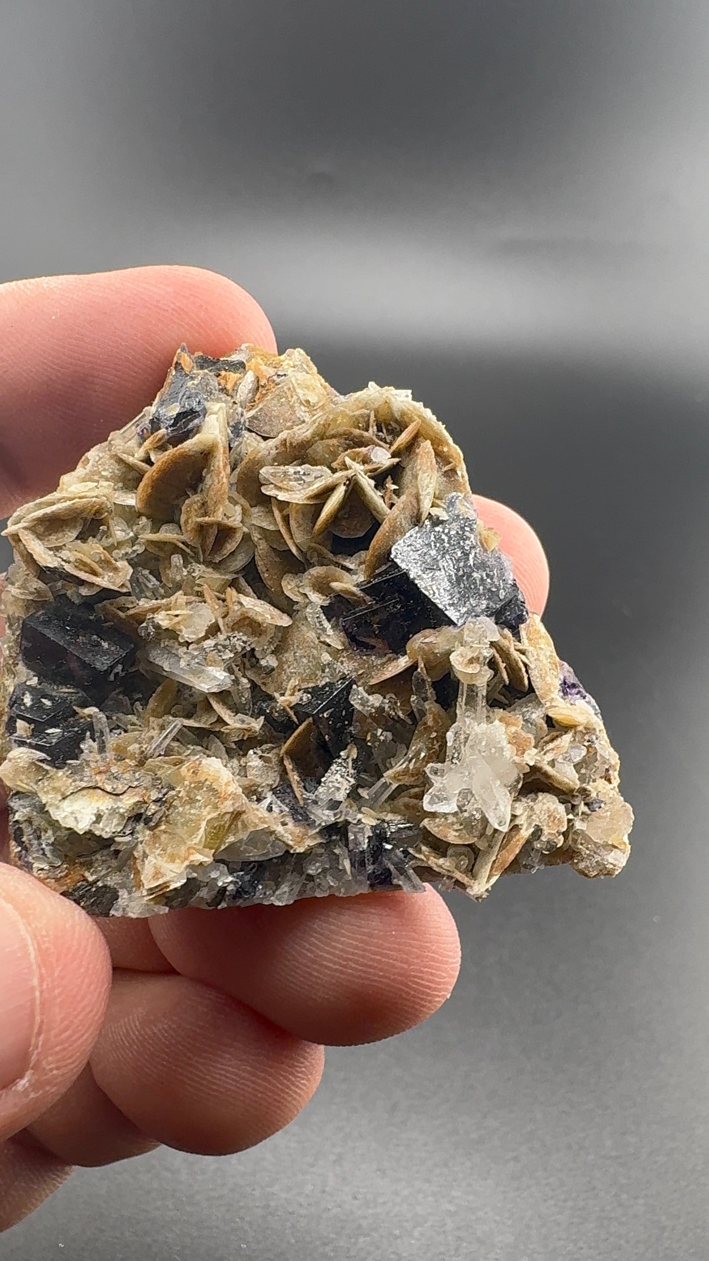 Yindu Fluorite Formation (S35)
