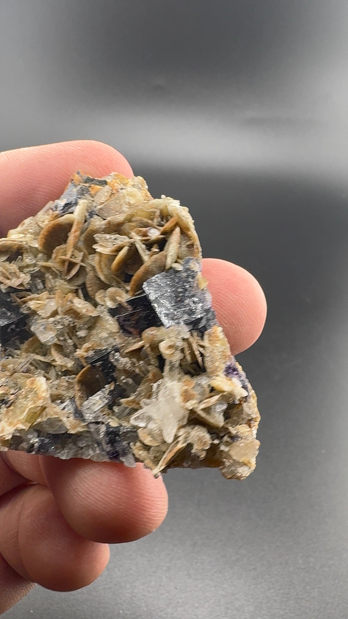 Yindu Fluorite Formation (S35)