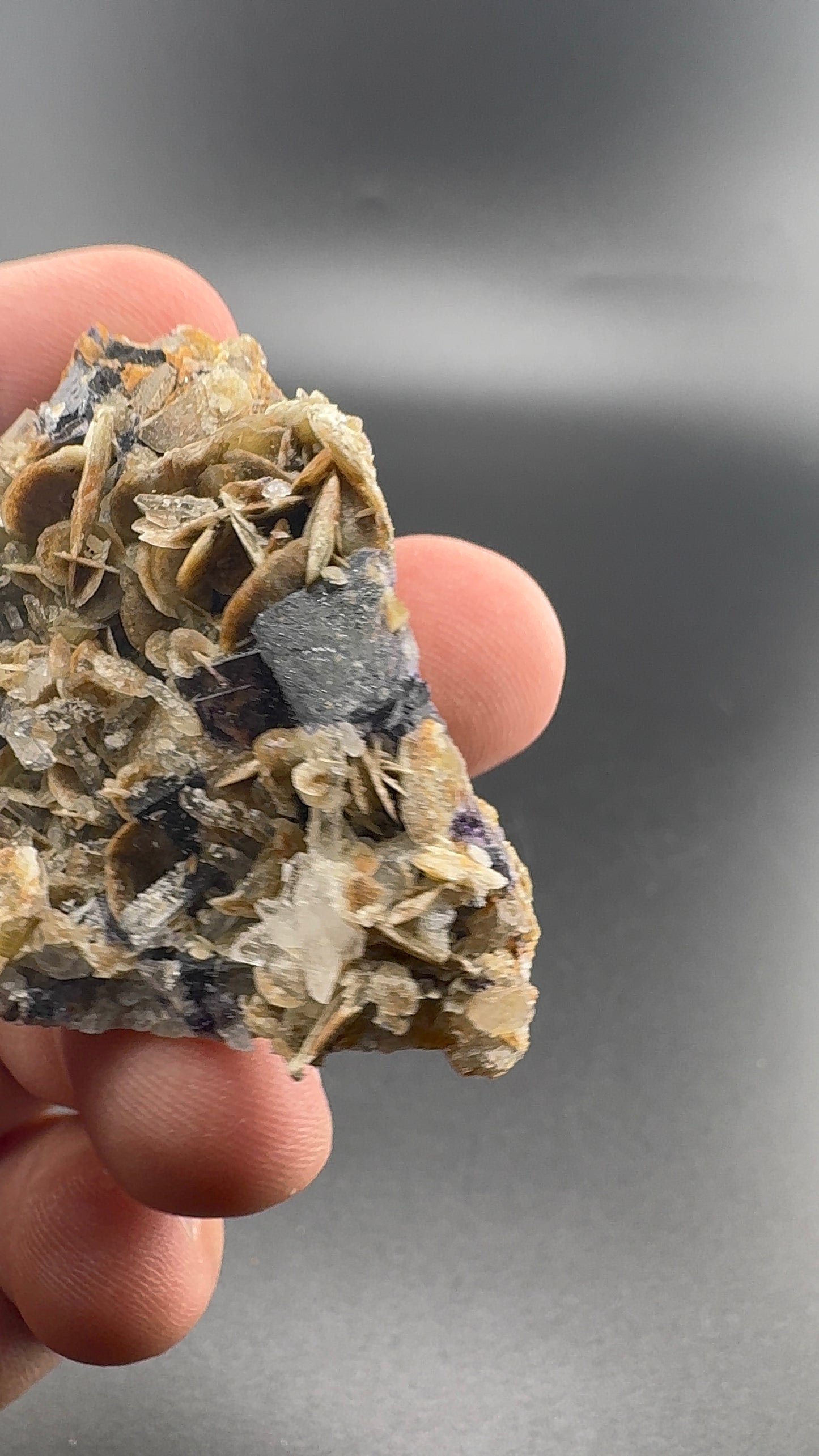 Yindu Fluorite Formation (S35)