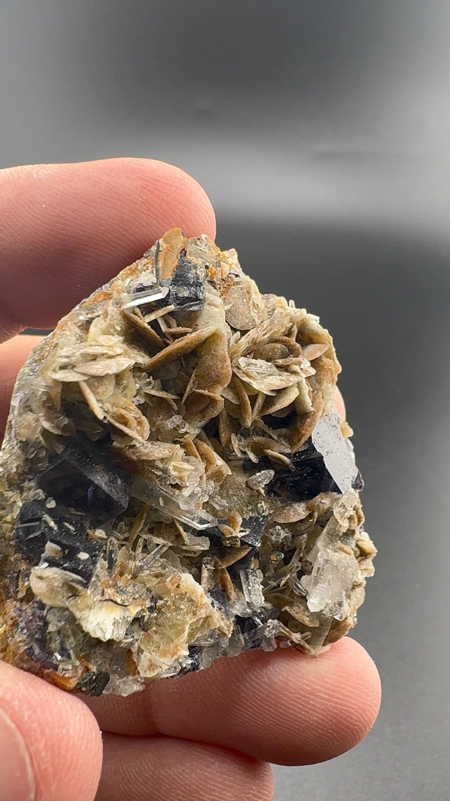 Yindu Fluorite Formation (S35)