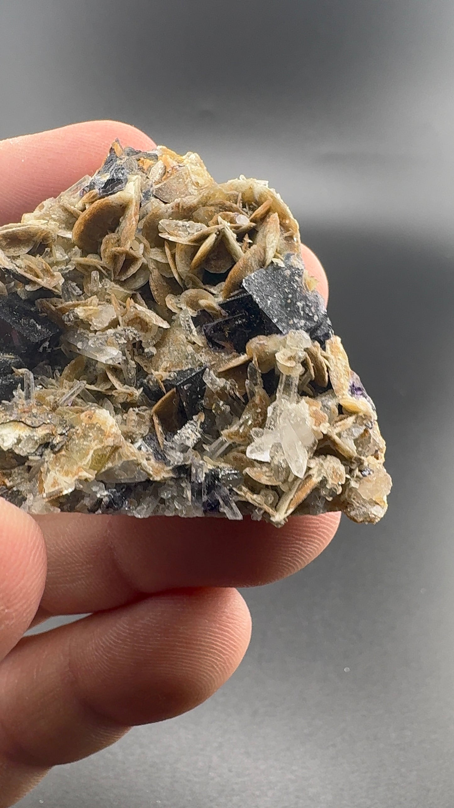 Yindu Fluorite Formation (S35)