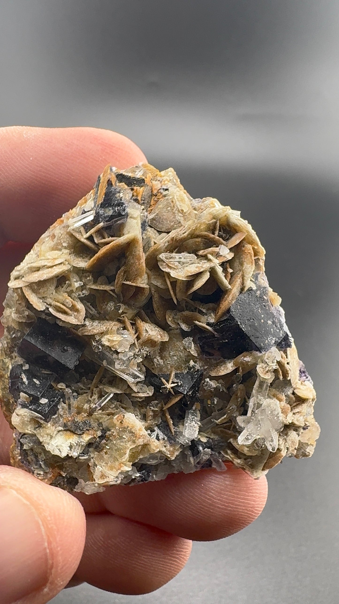 Yindu Fluorite Formation (S35)