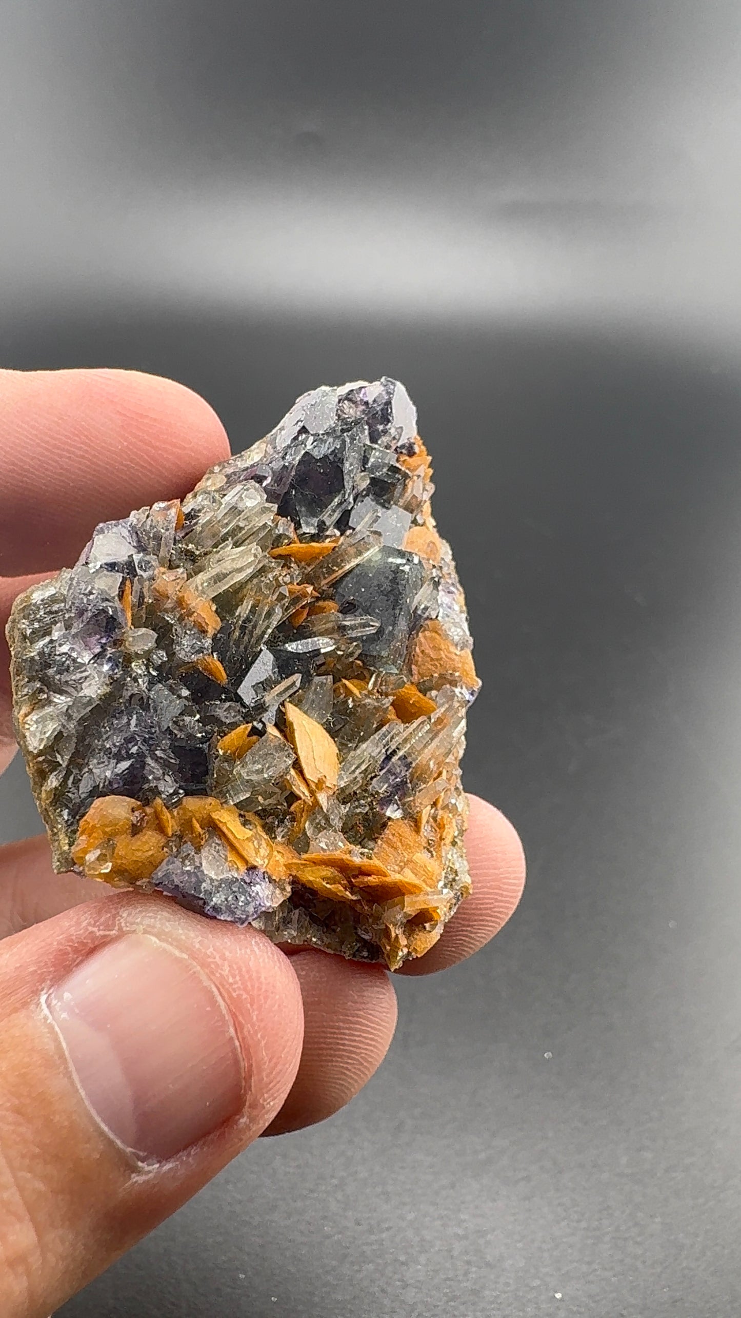 Yindu Fluorite Formation (S36)