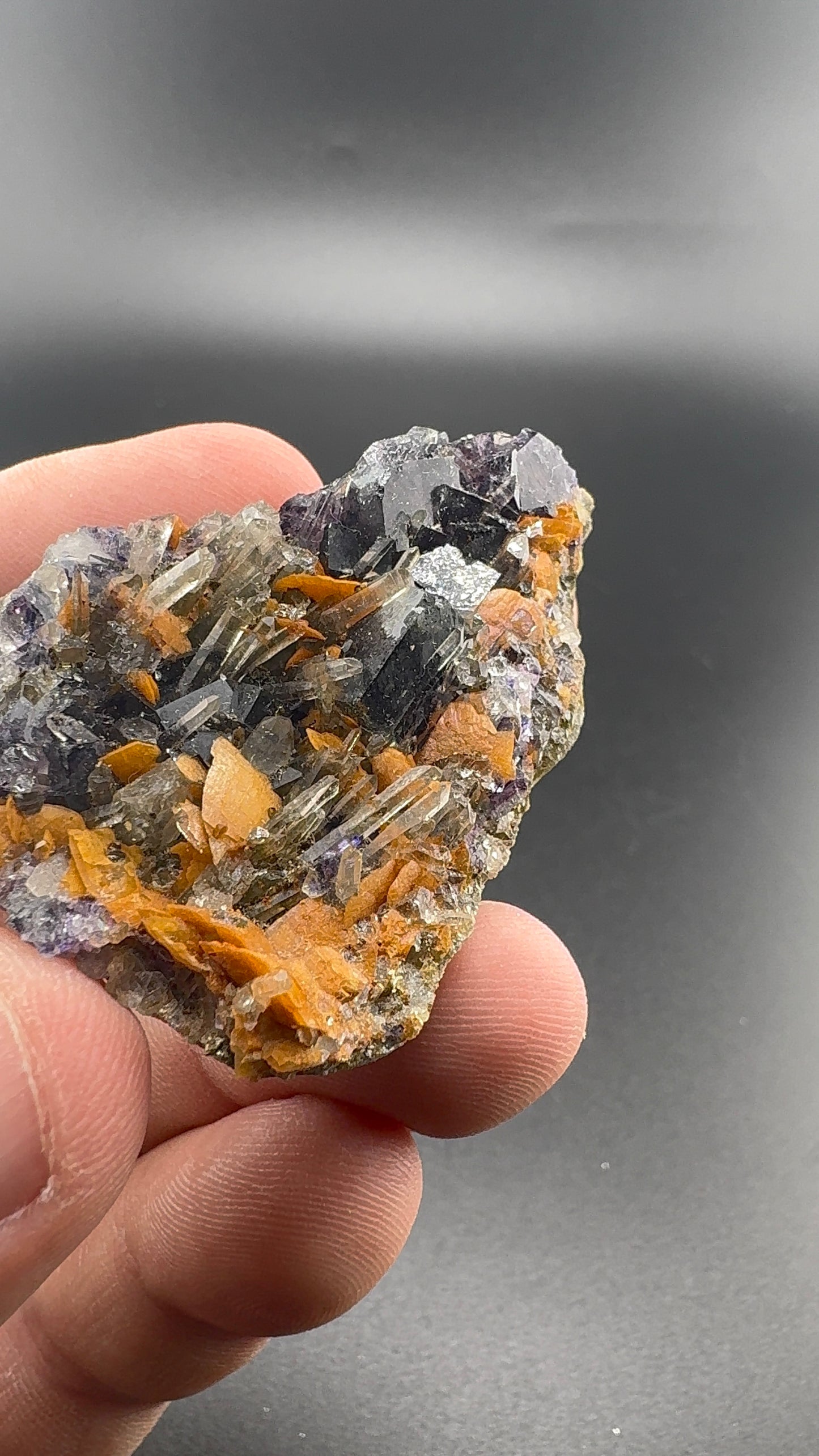 Yindu Fluorite Formation (S36)