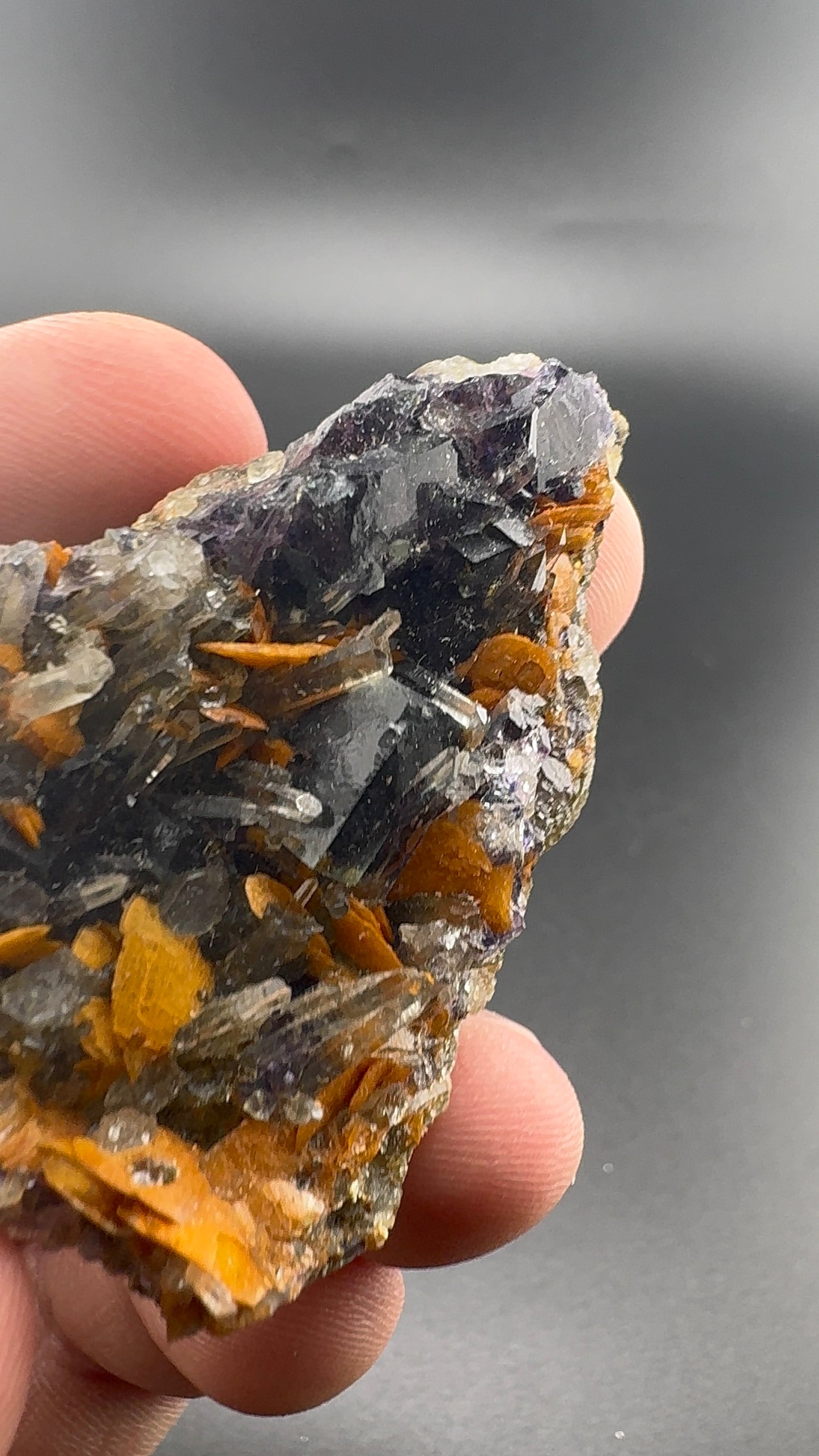 Yindu Fluorite Formation (S36)