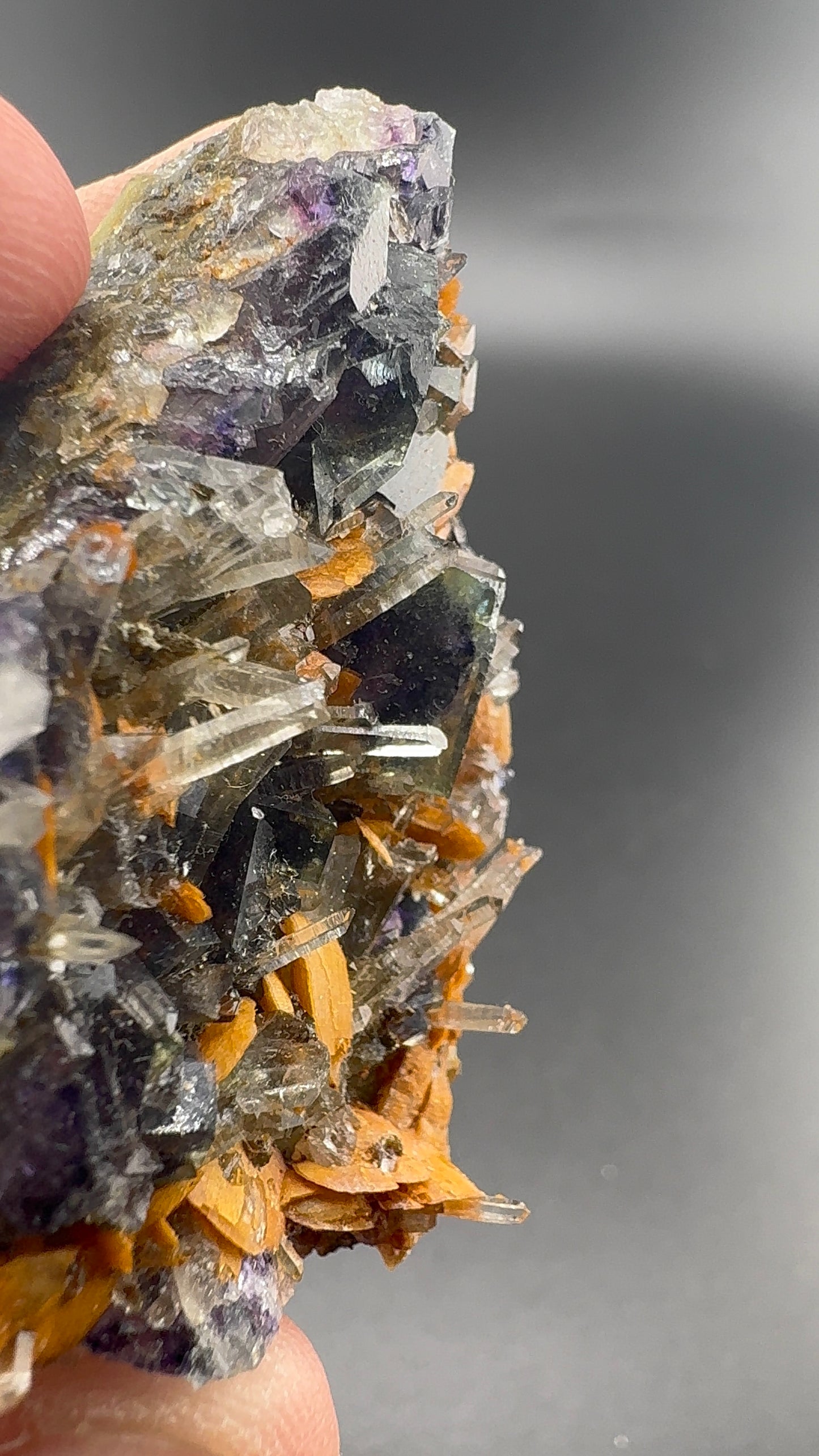 Yindu Fluorite Formation (S36)