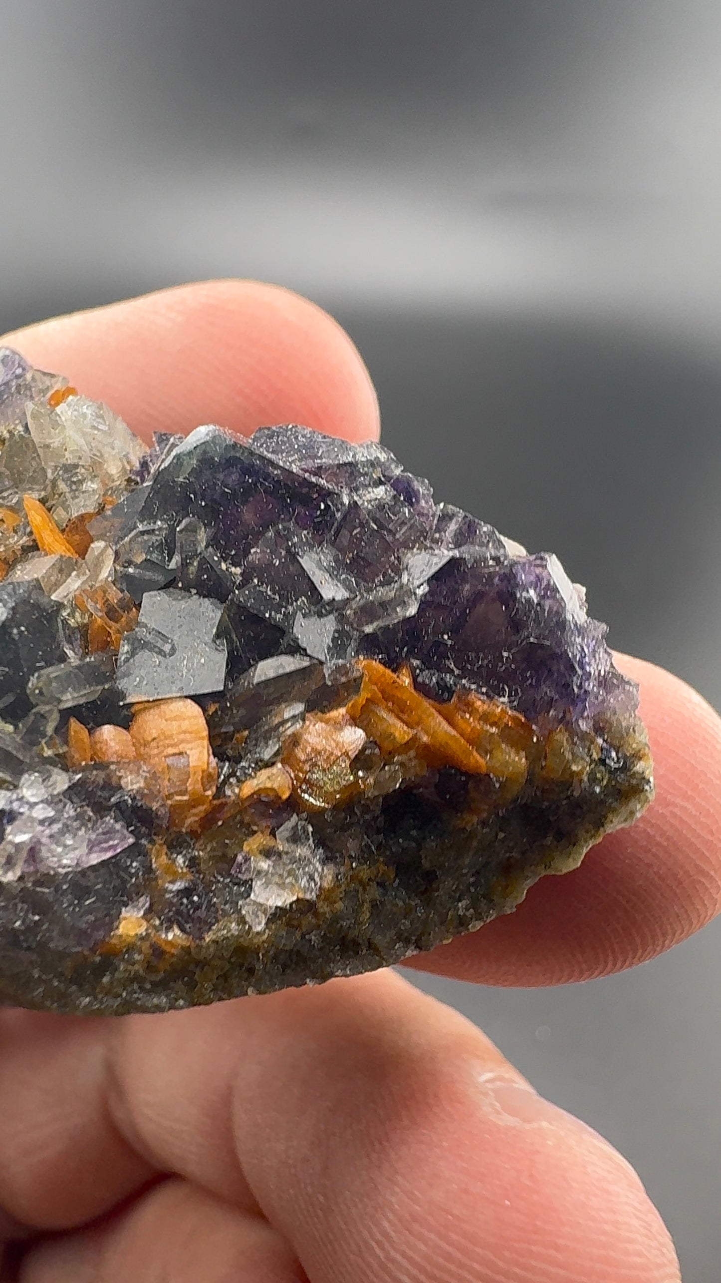 Yindu Fluorite Formation (S36)