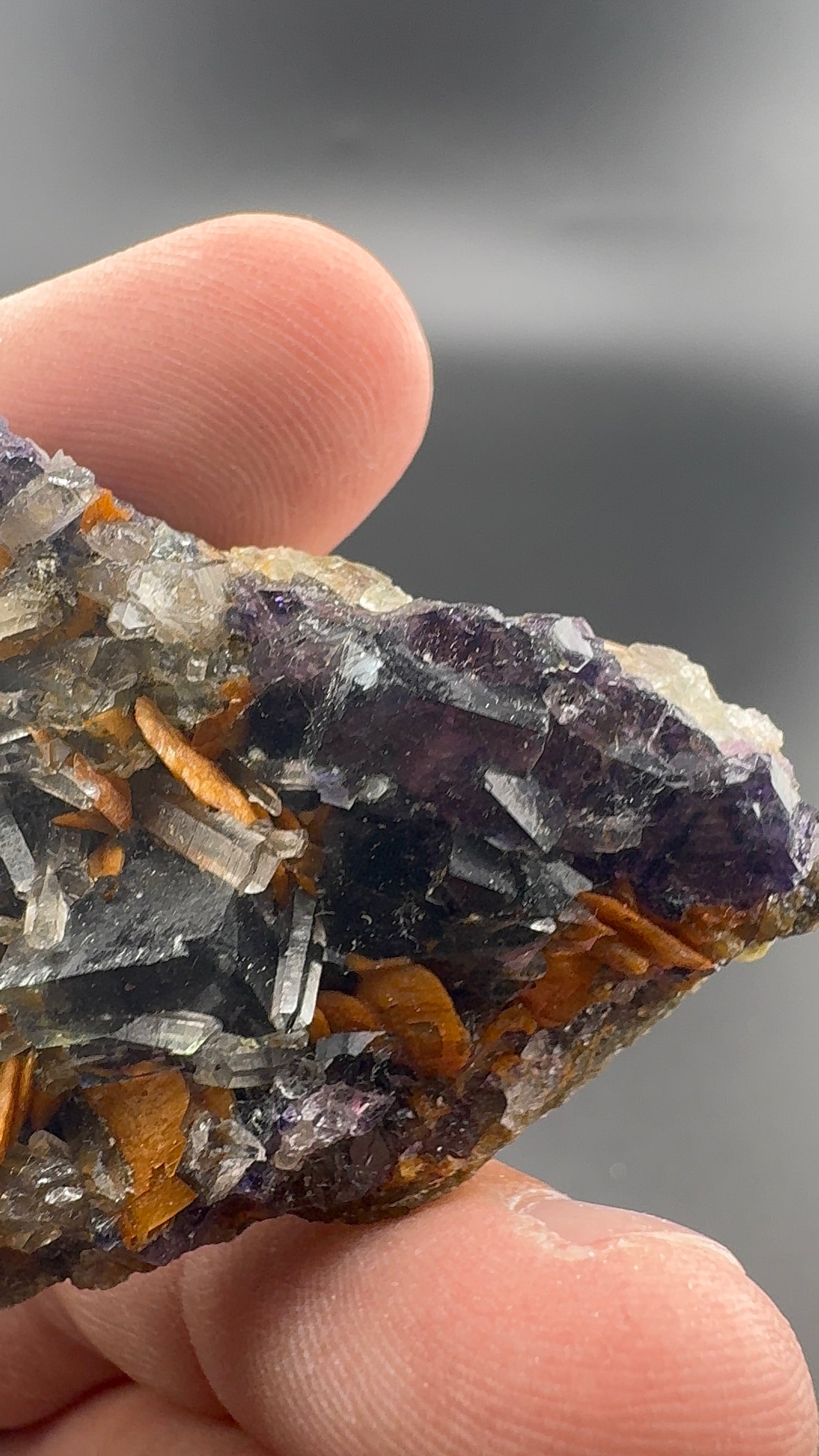 Yindu Fluorite Formation (S36)