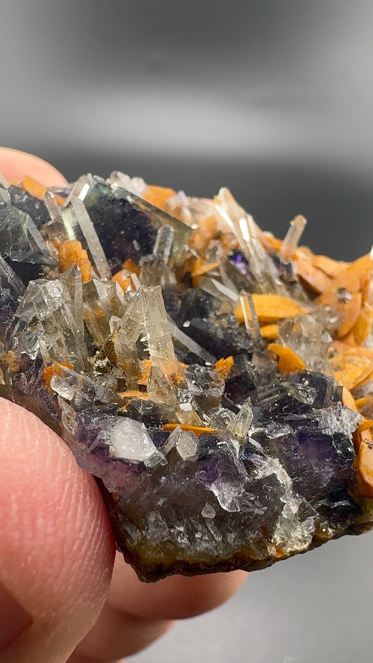 Yindu Fluorite Formation (S36)