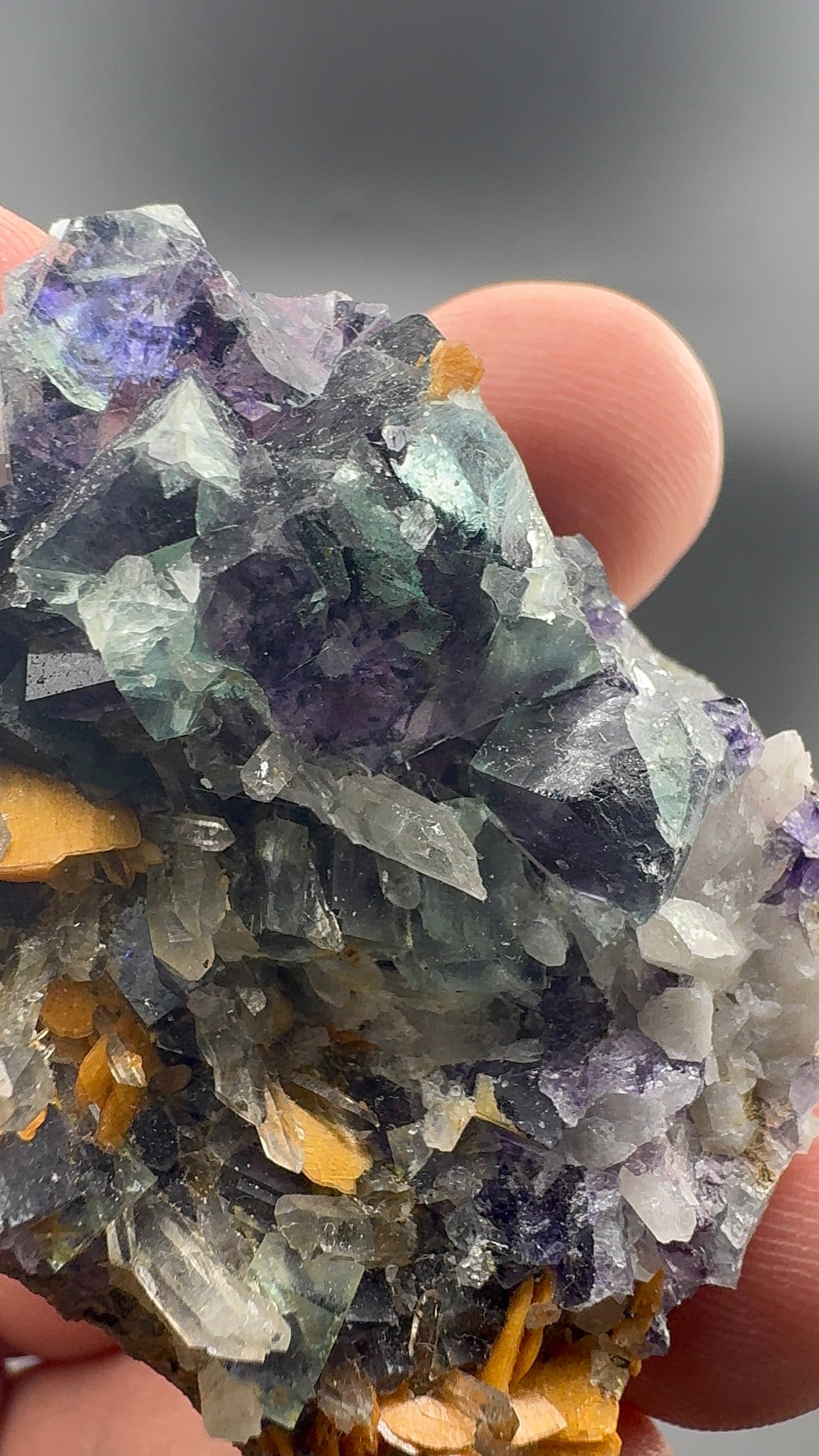 Yindu Fluorite Formation (S37)