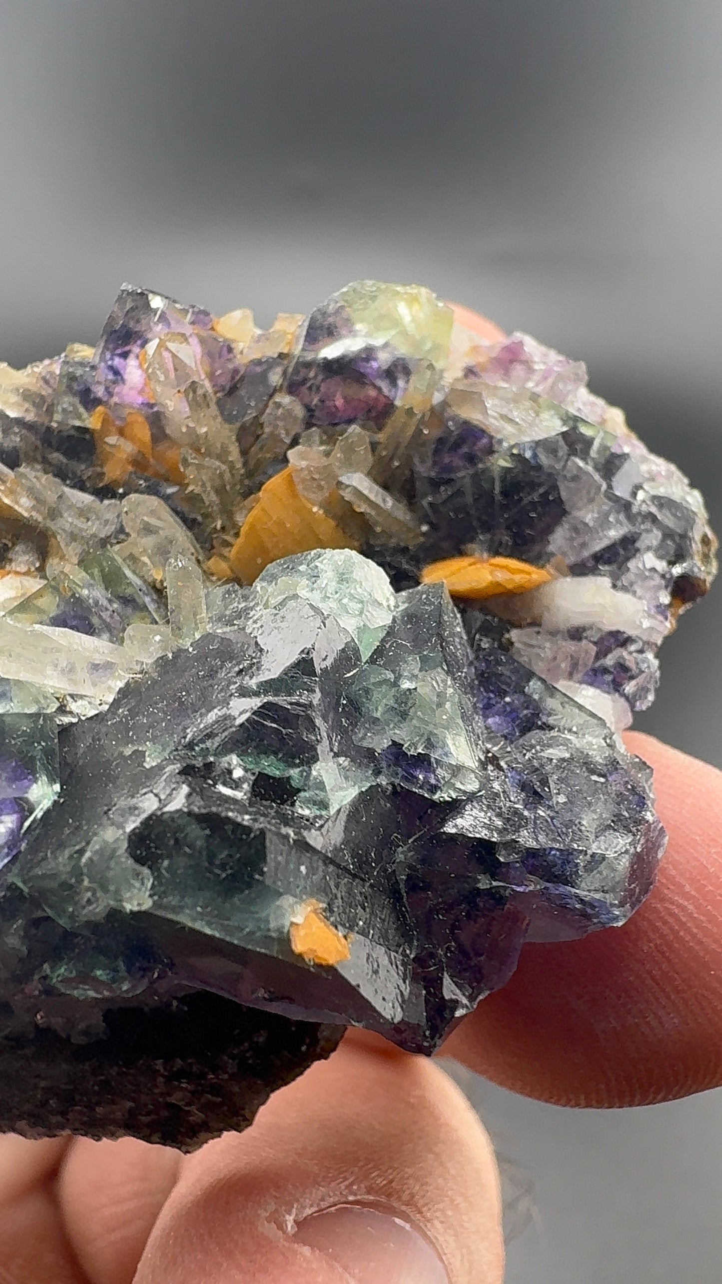 Yindu Fluorite Formation (S37)