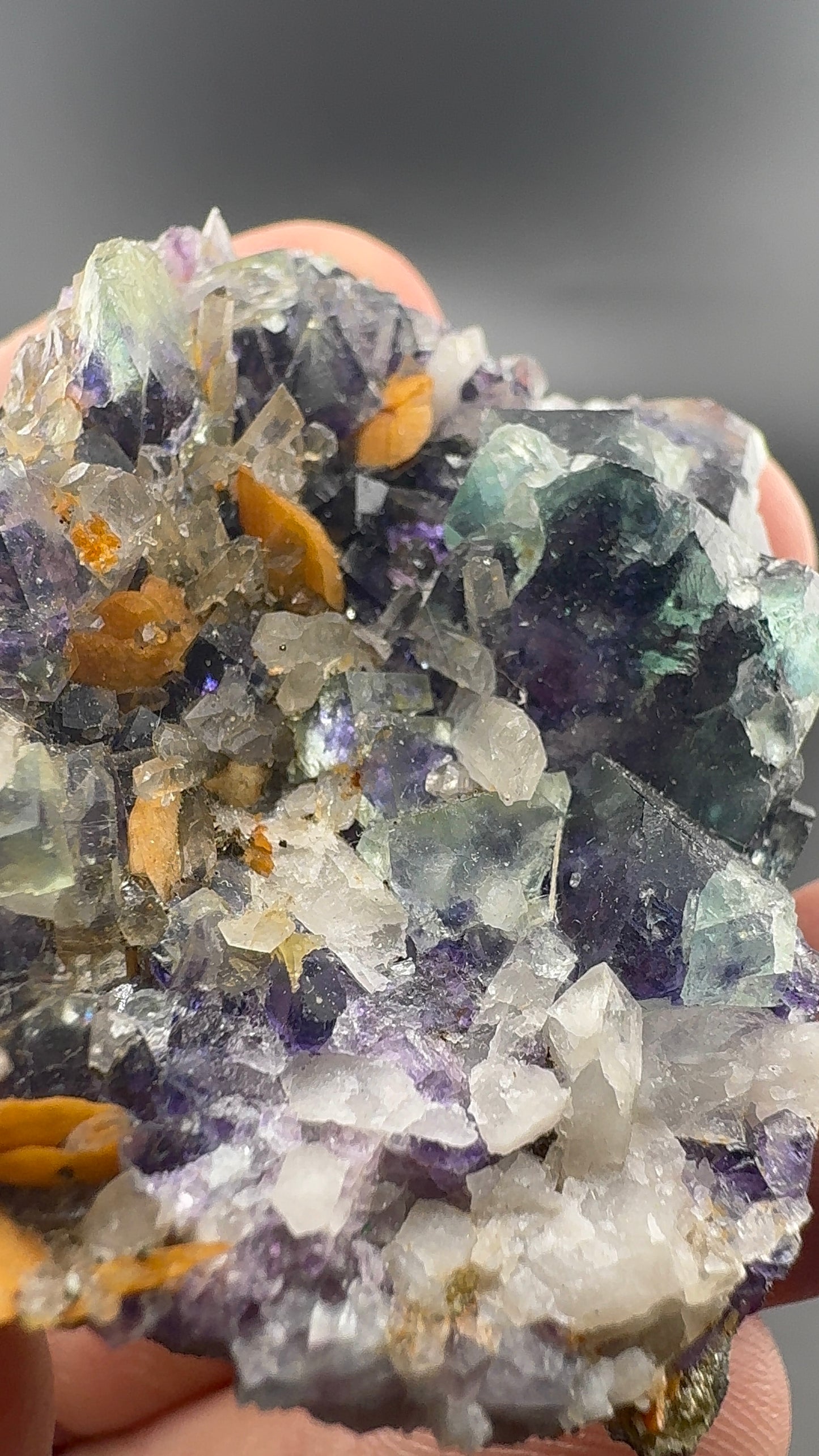 Yindu Fluorite Formation (S37)