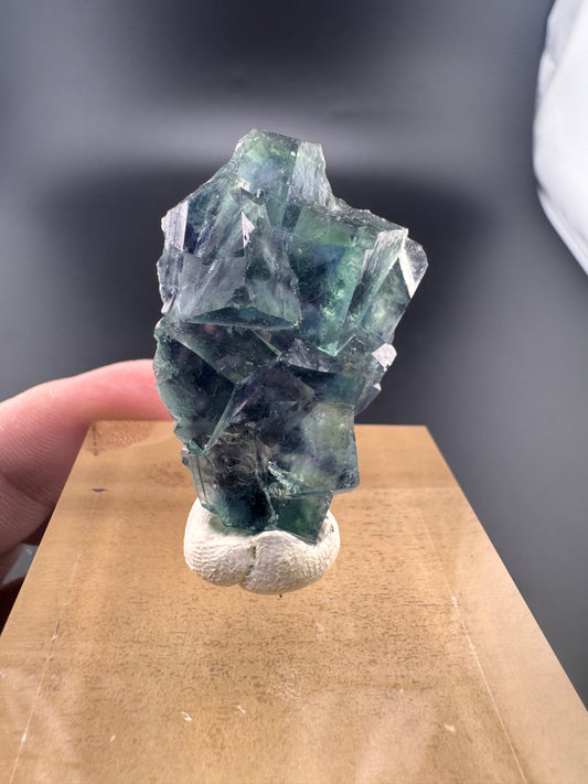 Yindu Green/Purple Fluorite (B21)