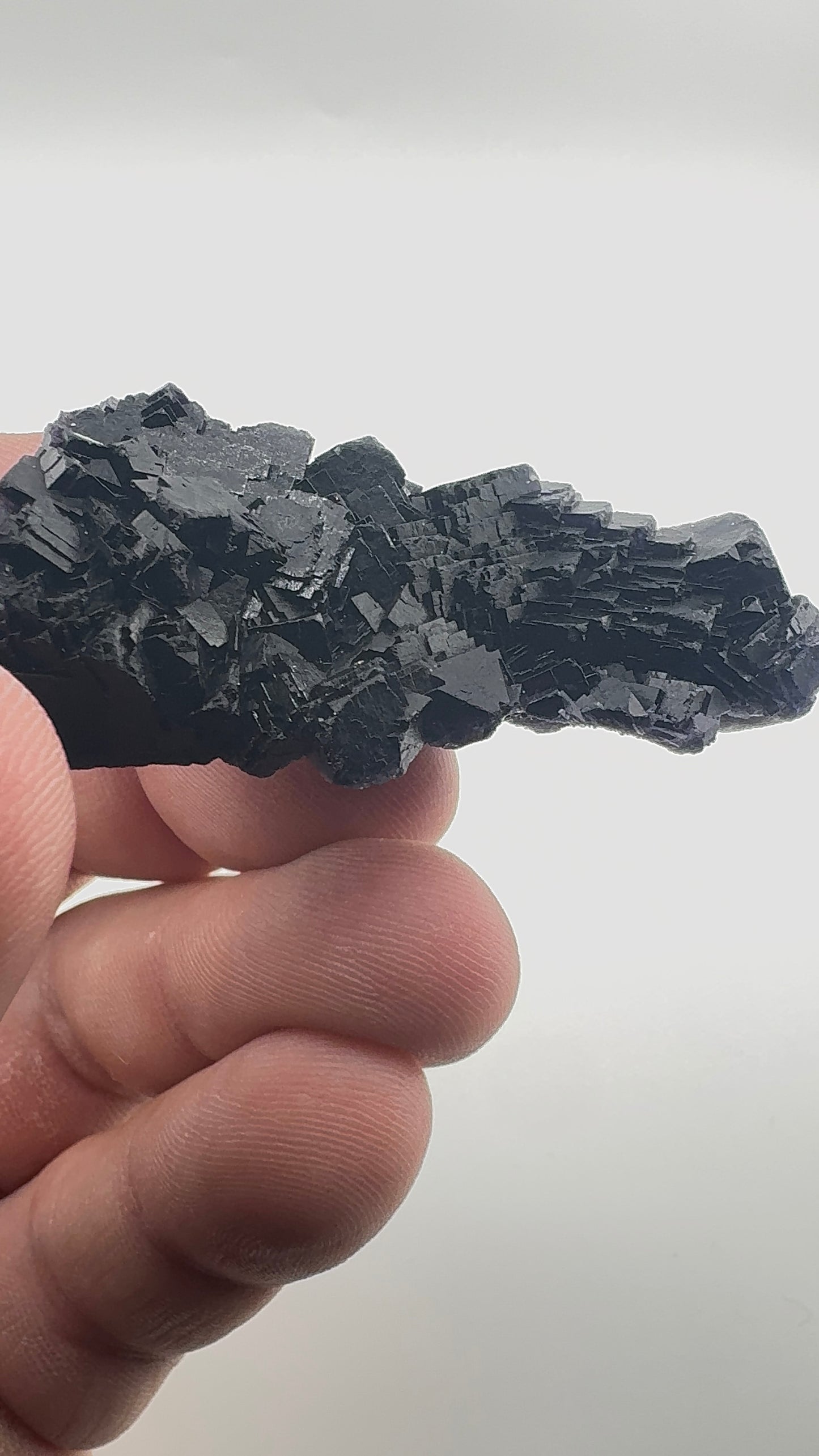 Black Rose Fluorite (BR2)