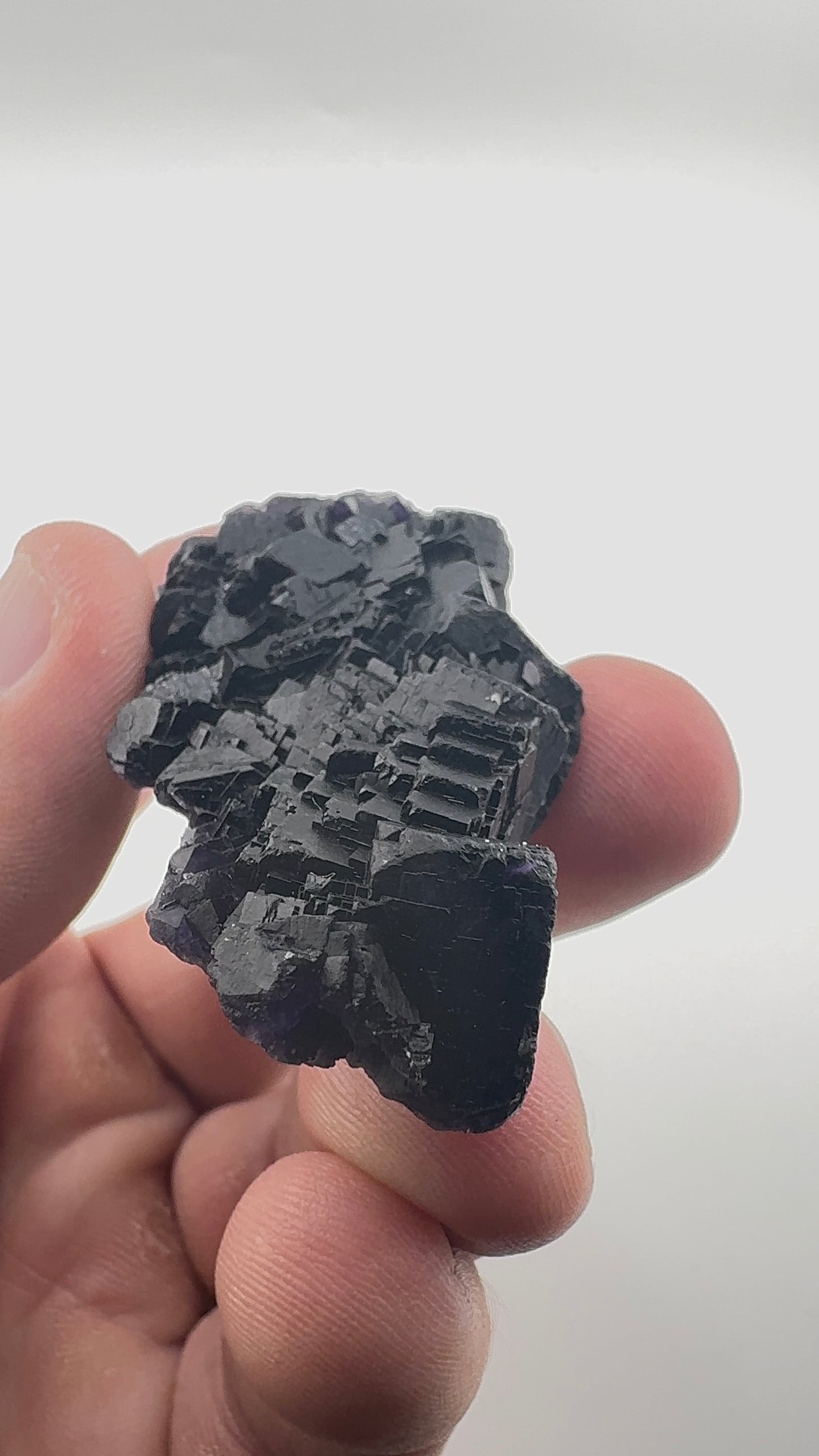 Black Rose Fluorite (BR2)