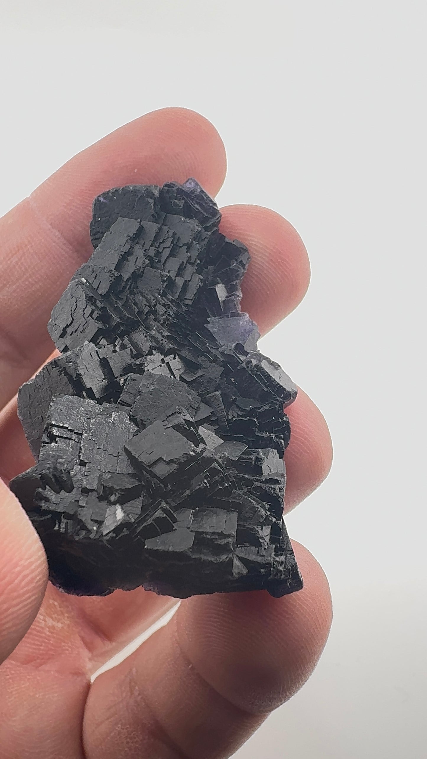 Black Rose Fluorite (BR2)