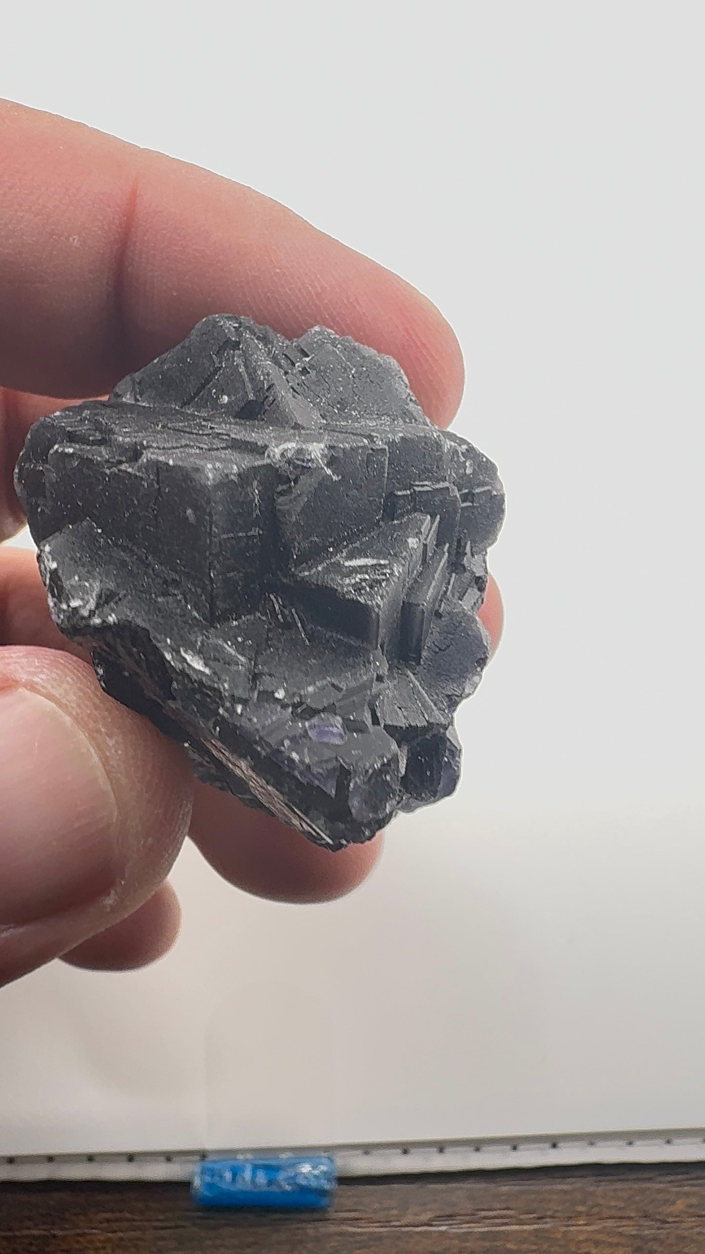 Black Rose Fluorite (BR5)
