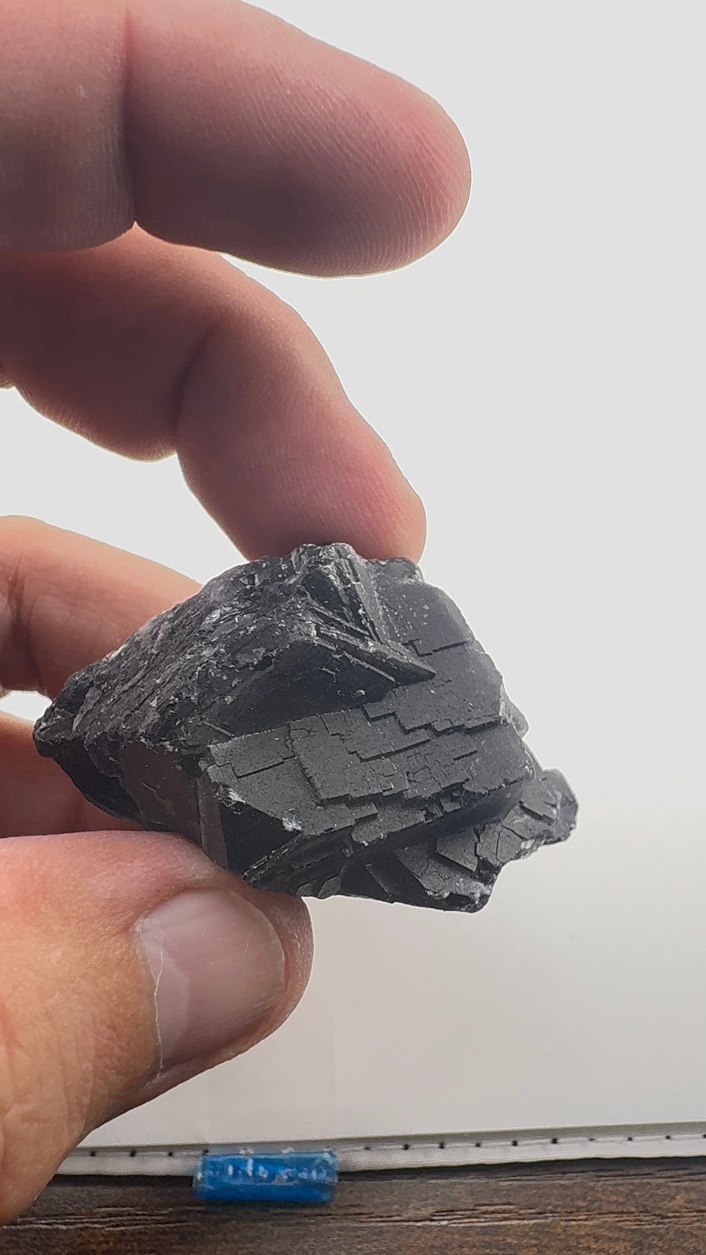 Black Rose Fluorite (BR5)
