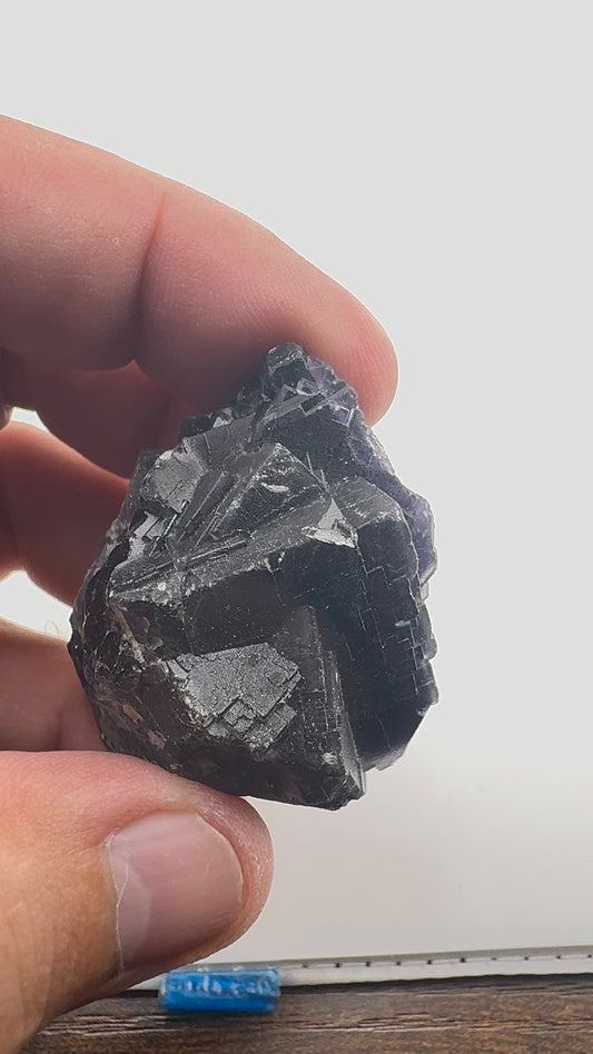 Black Rose Fluorite (BR5)