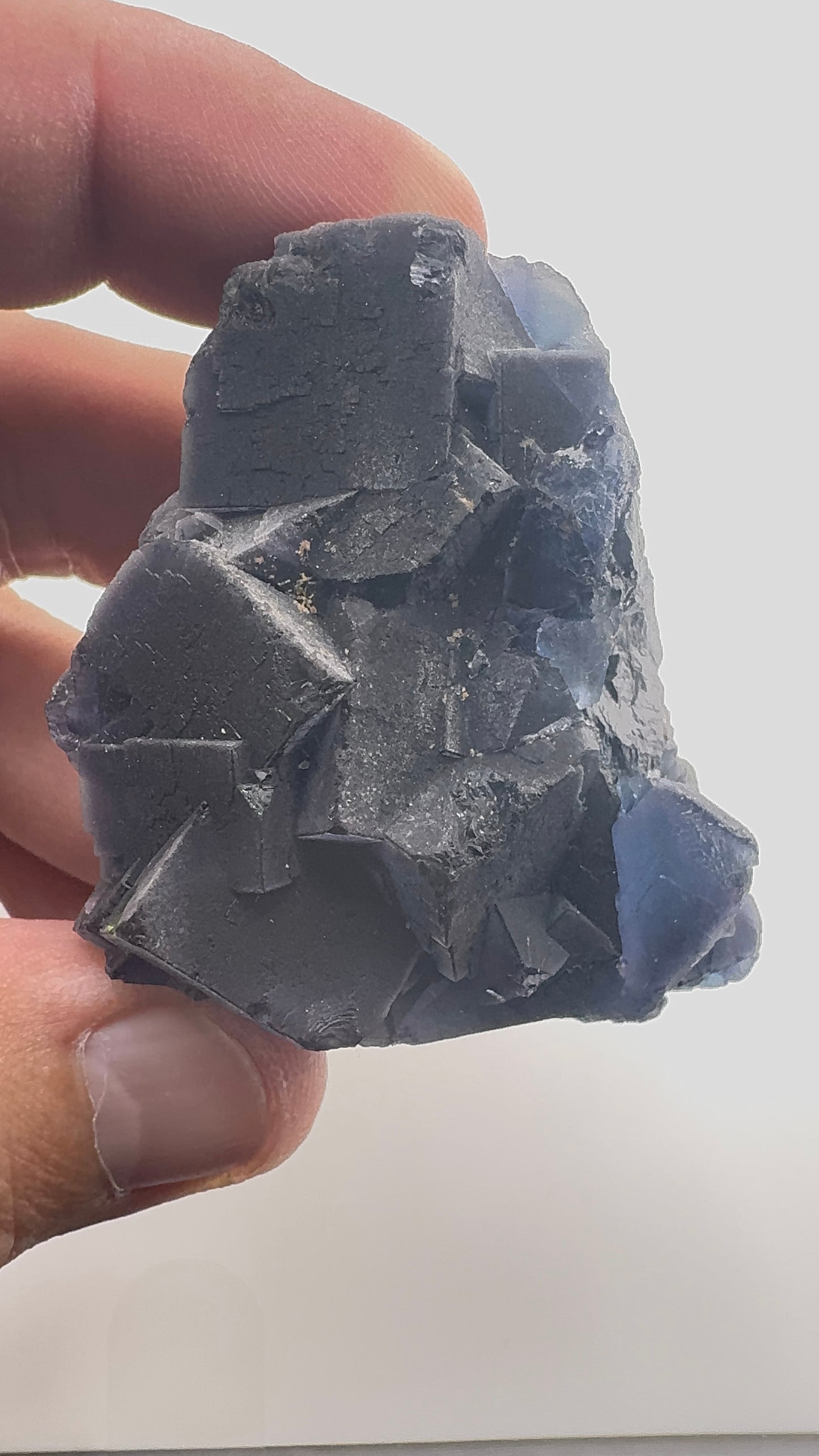 Black Rose Fluorite (BR6)