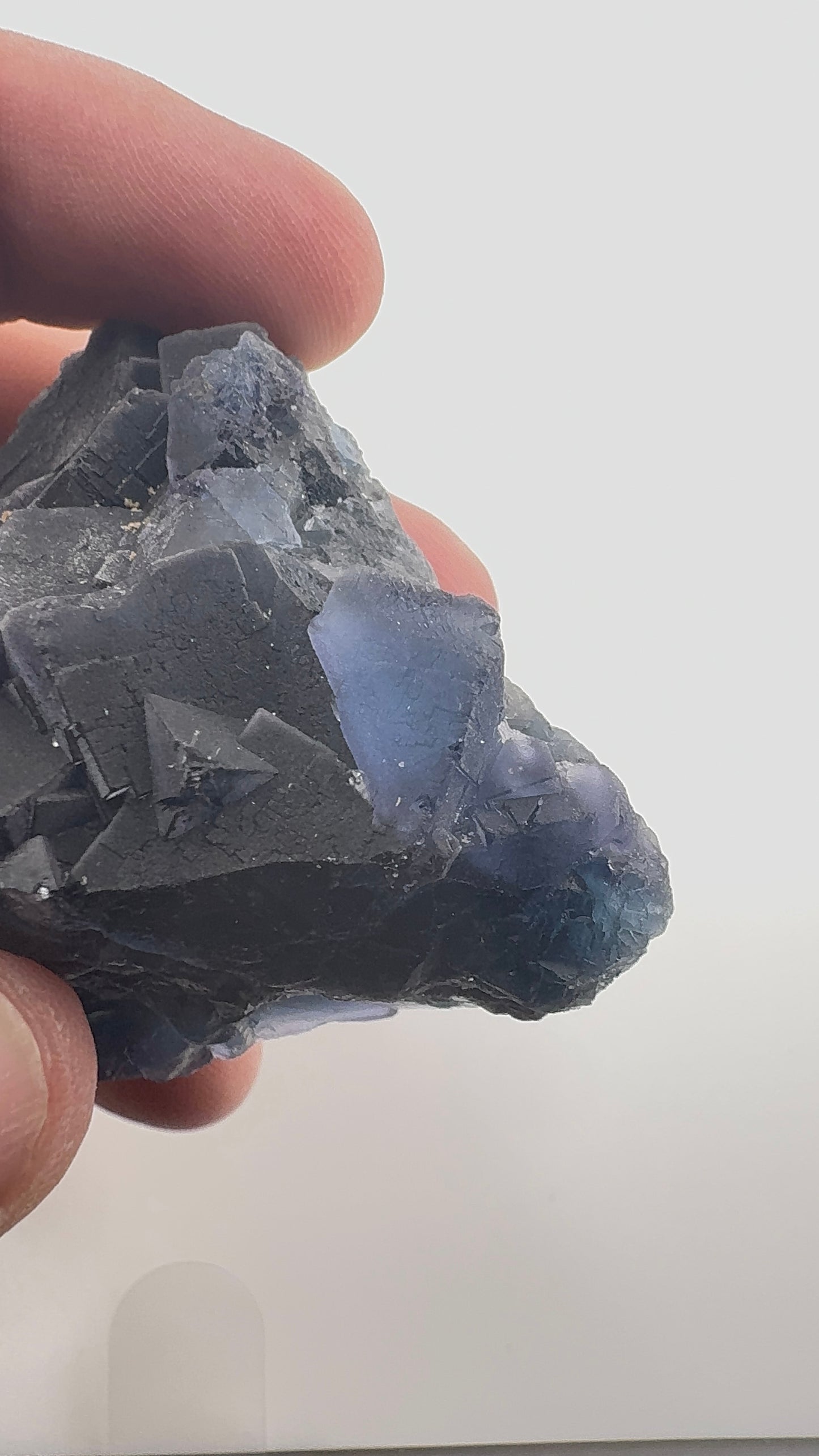 Black Rose Fluorite (BR6)
