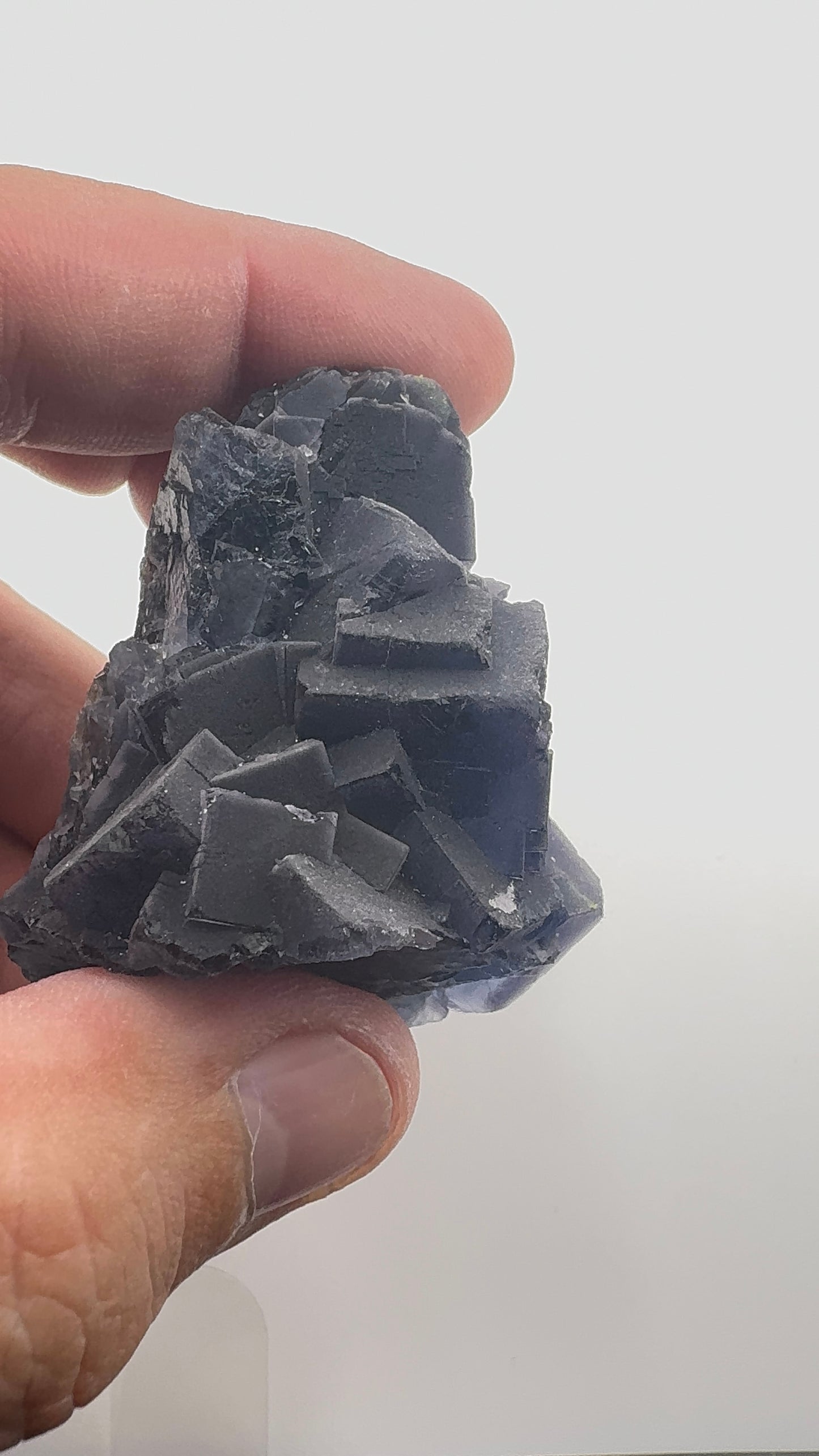 Black Rose Fluorite (BR6)