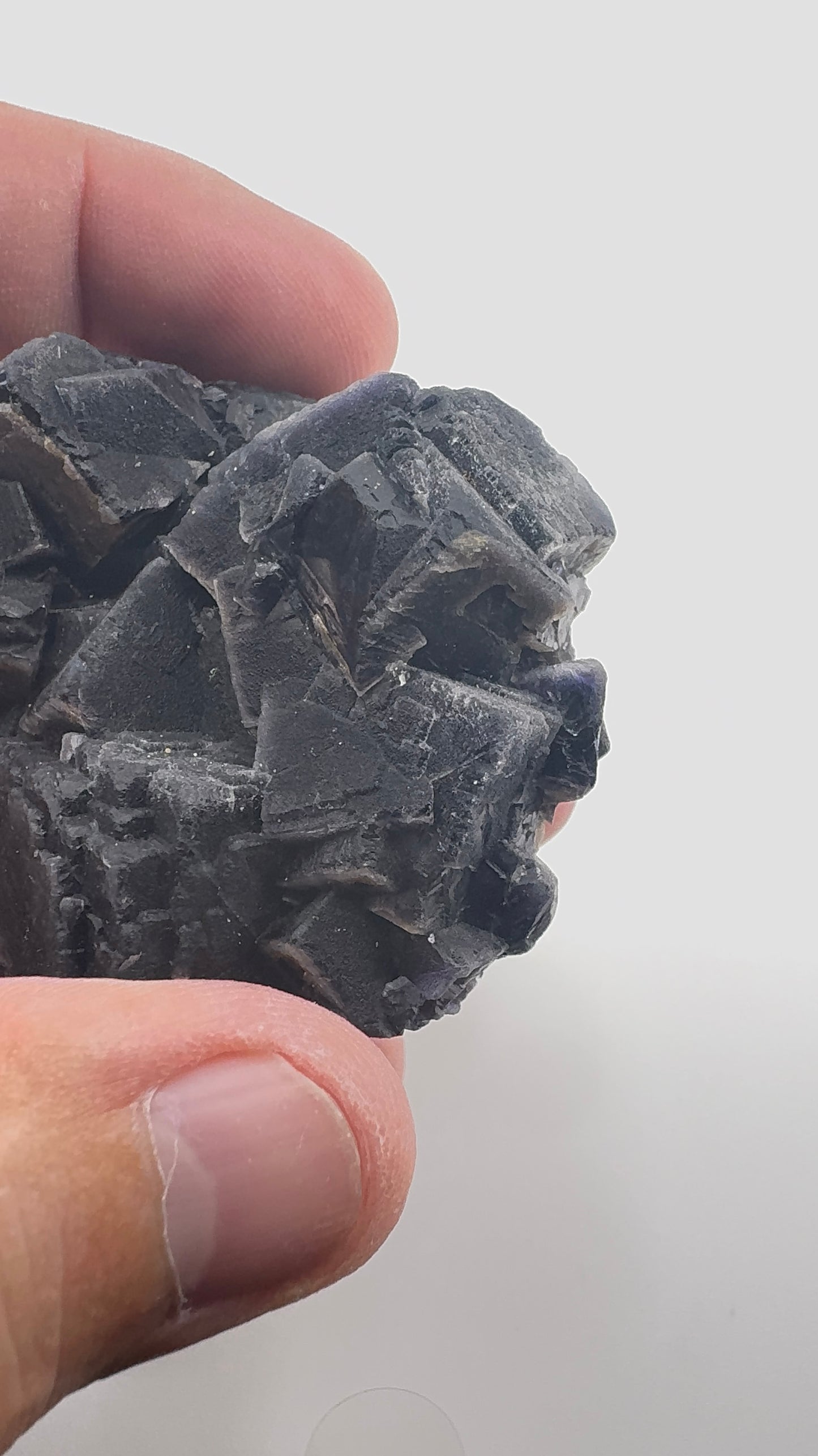 Black Rose Fluorite (BR7)