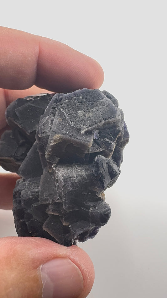 Black Rose Fluorite (BR7)