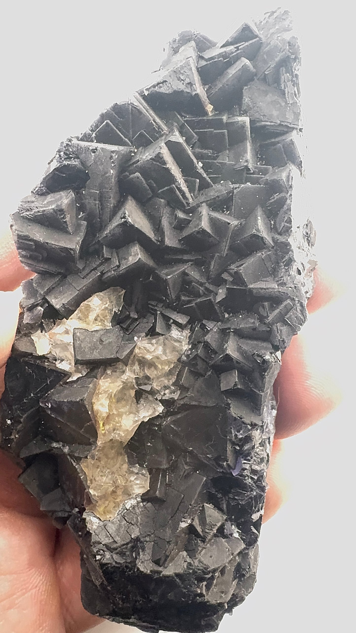 Black Rose Fluorite (BR10)