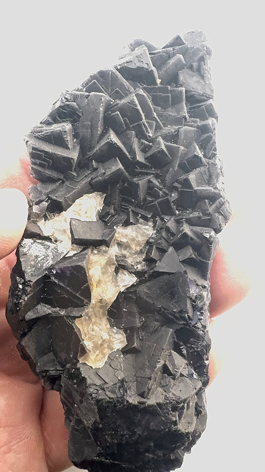 Black Rose Fluorite (BR10)