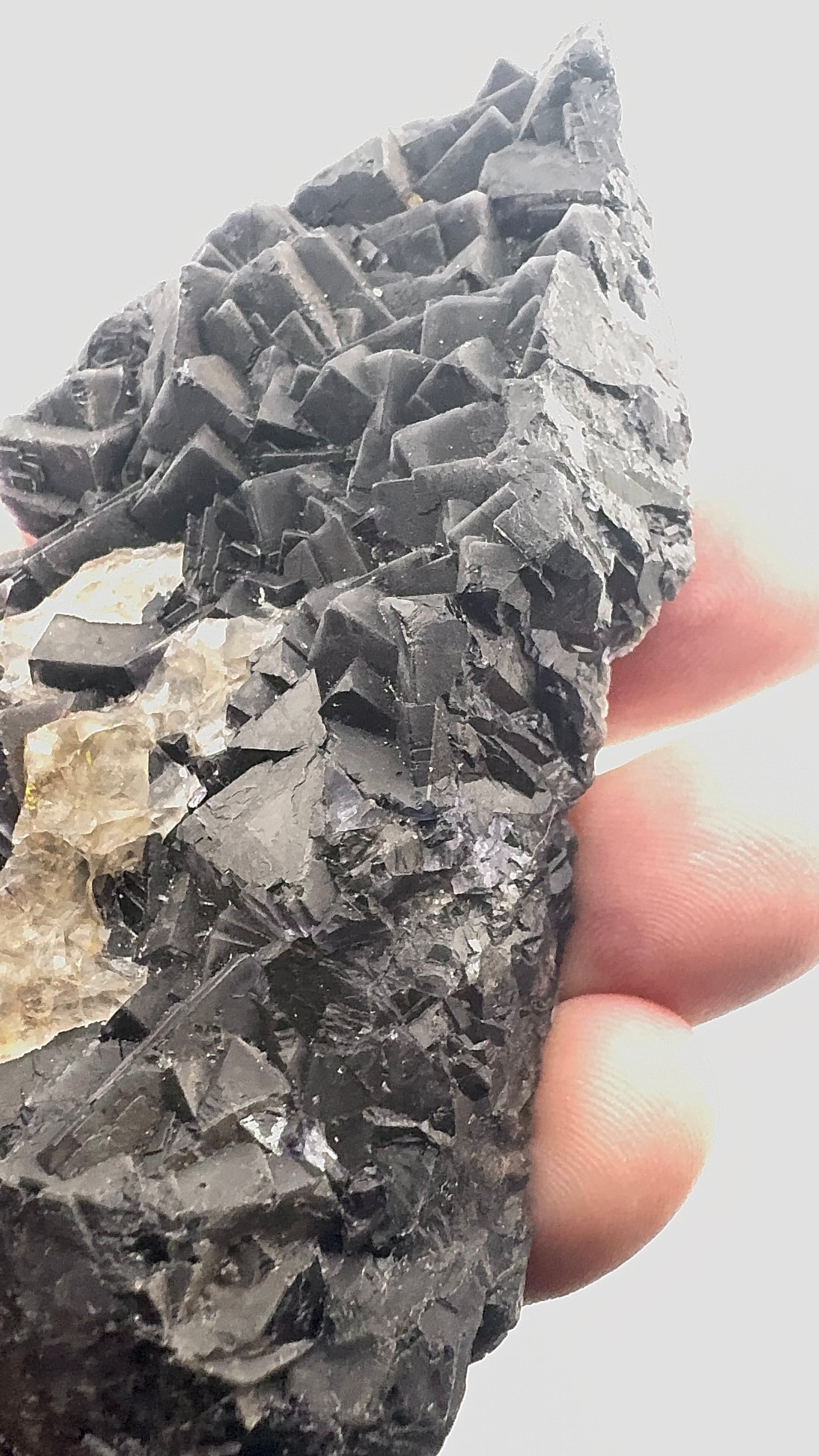 Black Rose Fluorite (BR10)