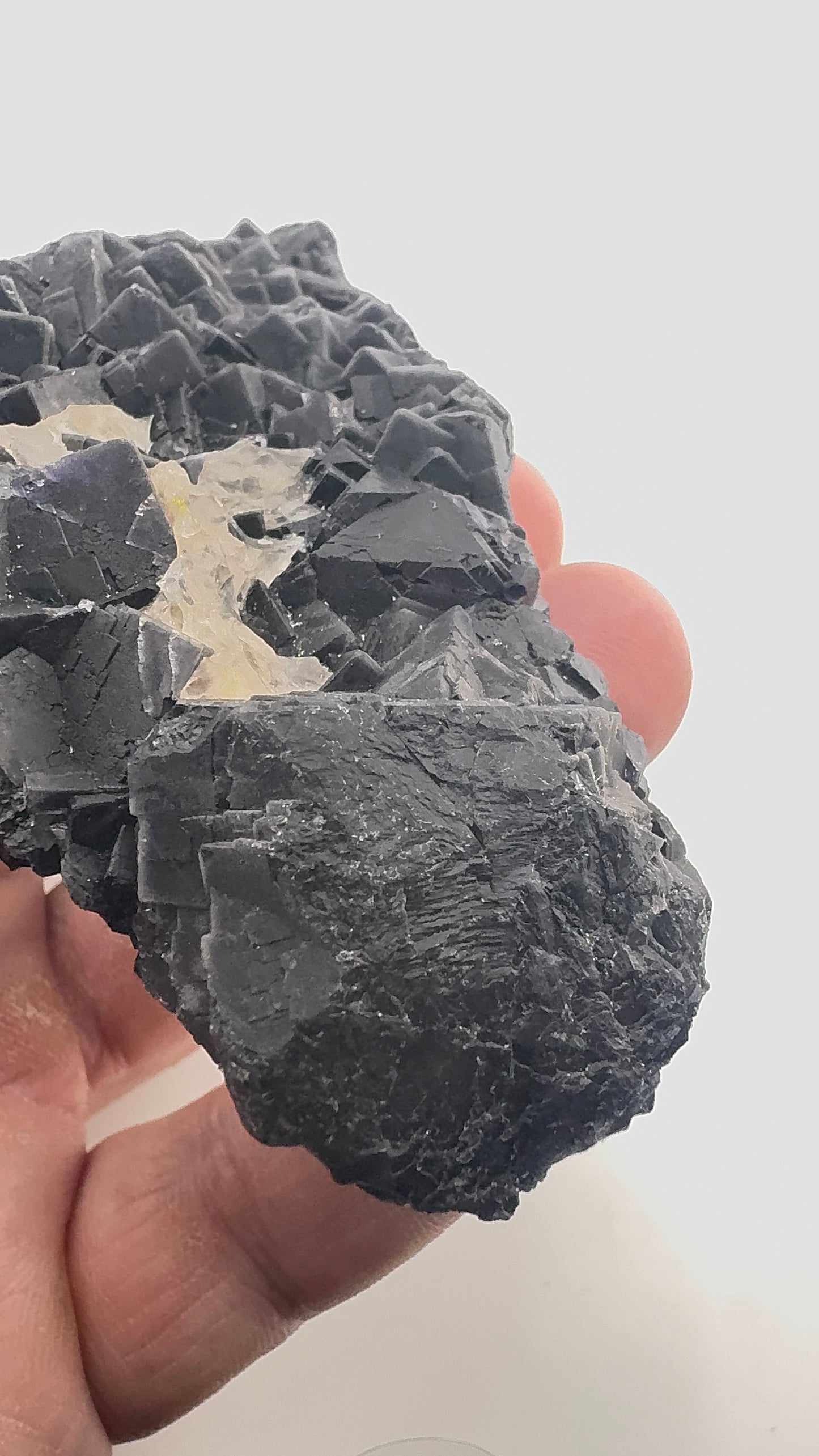 Black Rose Fluorite (BR10)