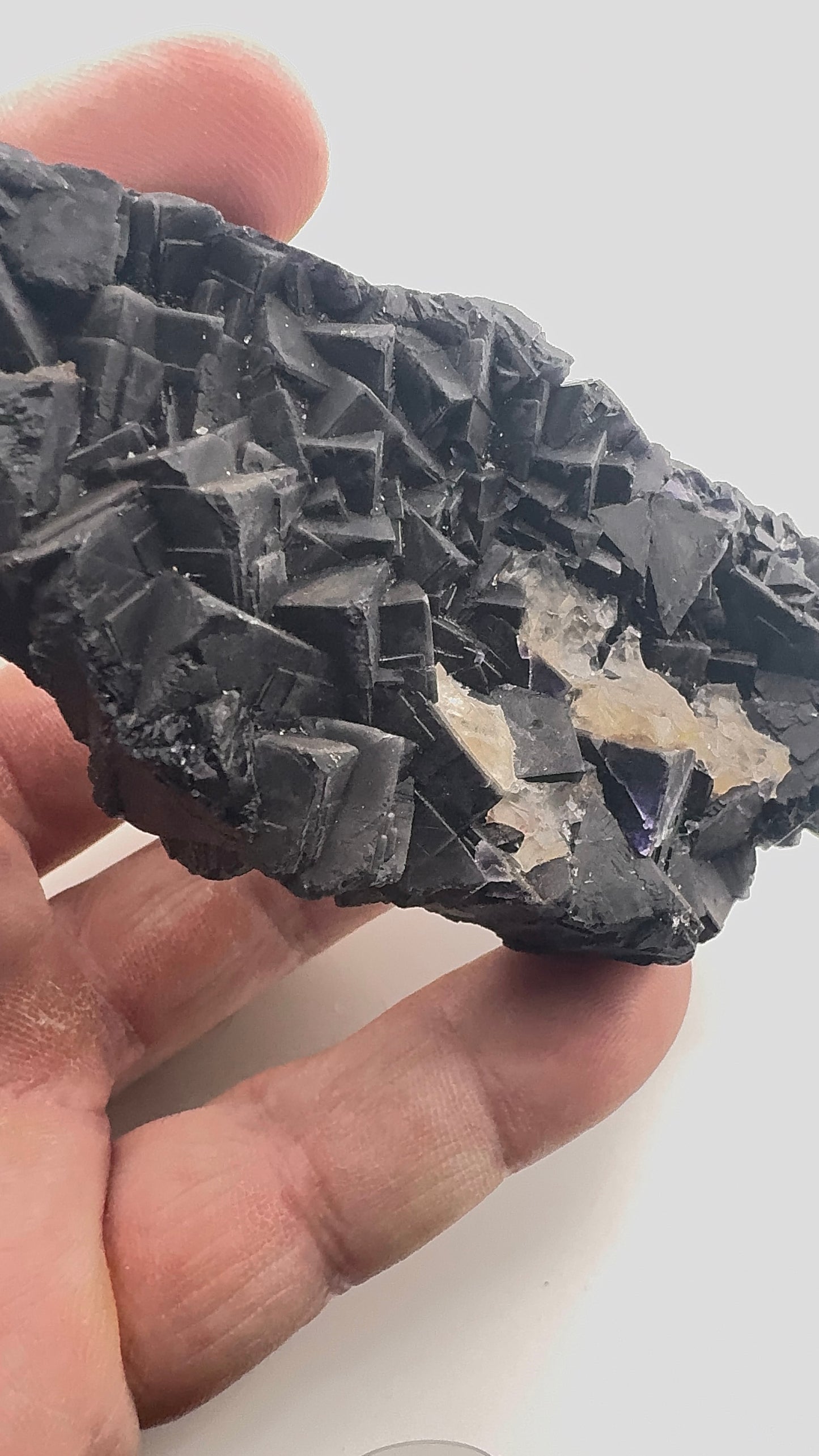 Black Rose Fluorite (BR10)