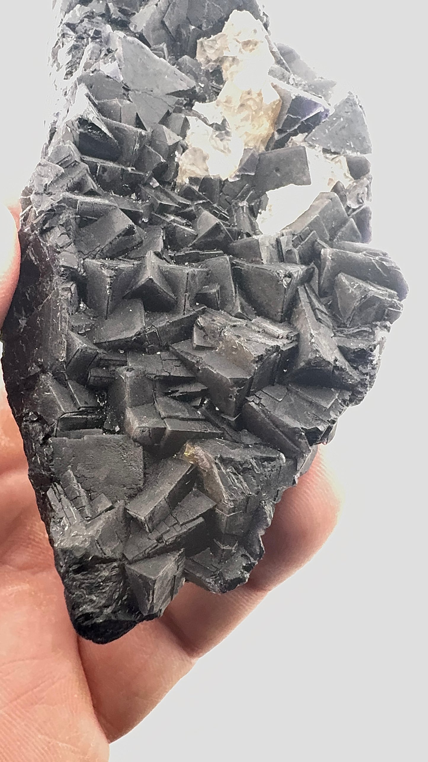Black Rose Fluorite (BR10)