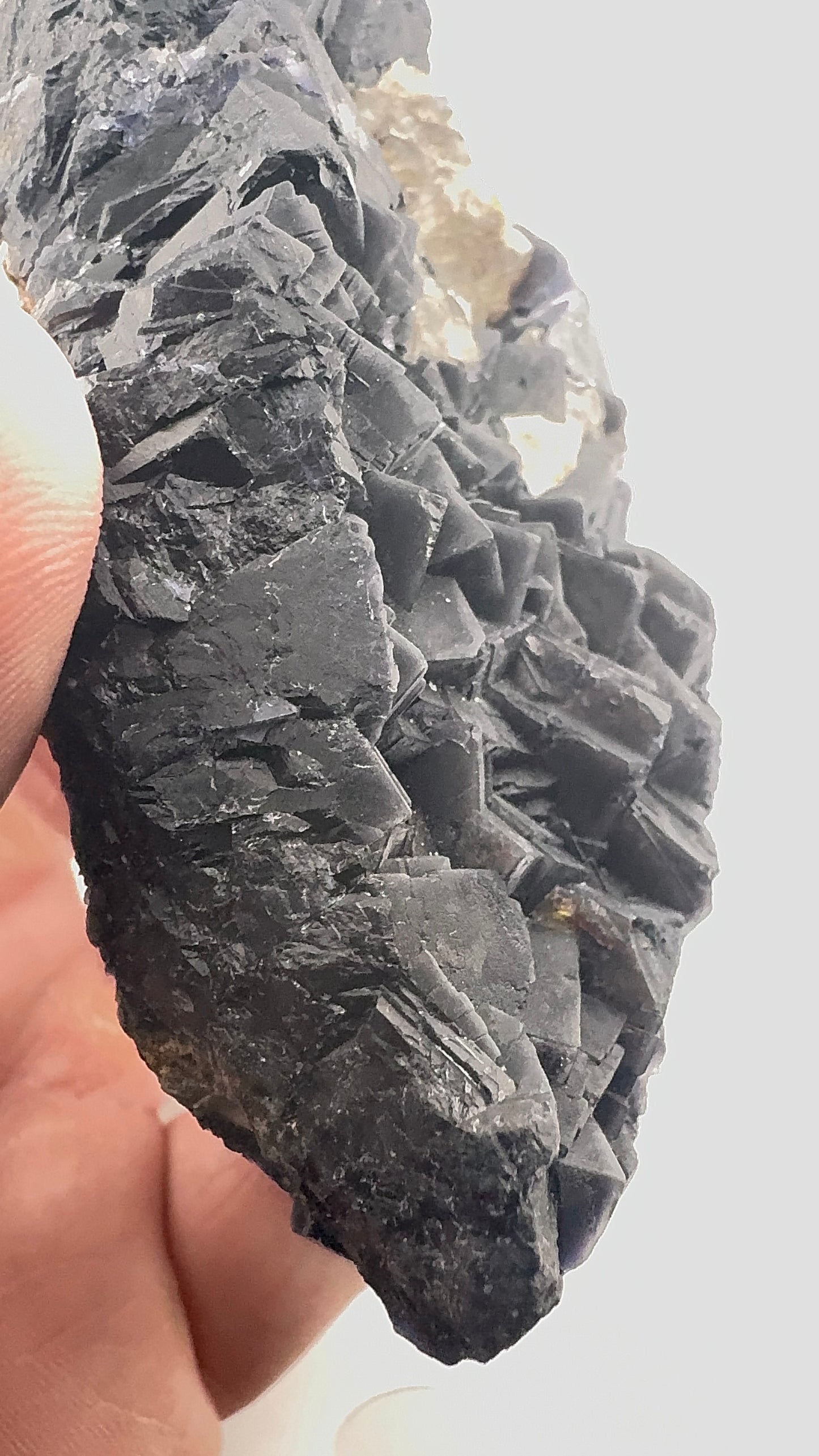 Black Rose Fluorite (BR10)