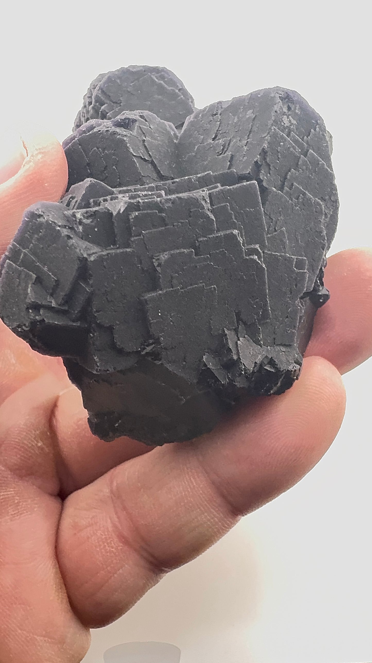 Black Rose Fluorite (BR11)