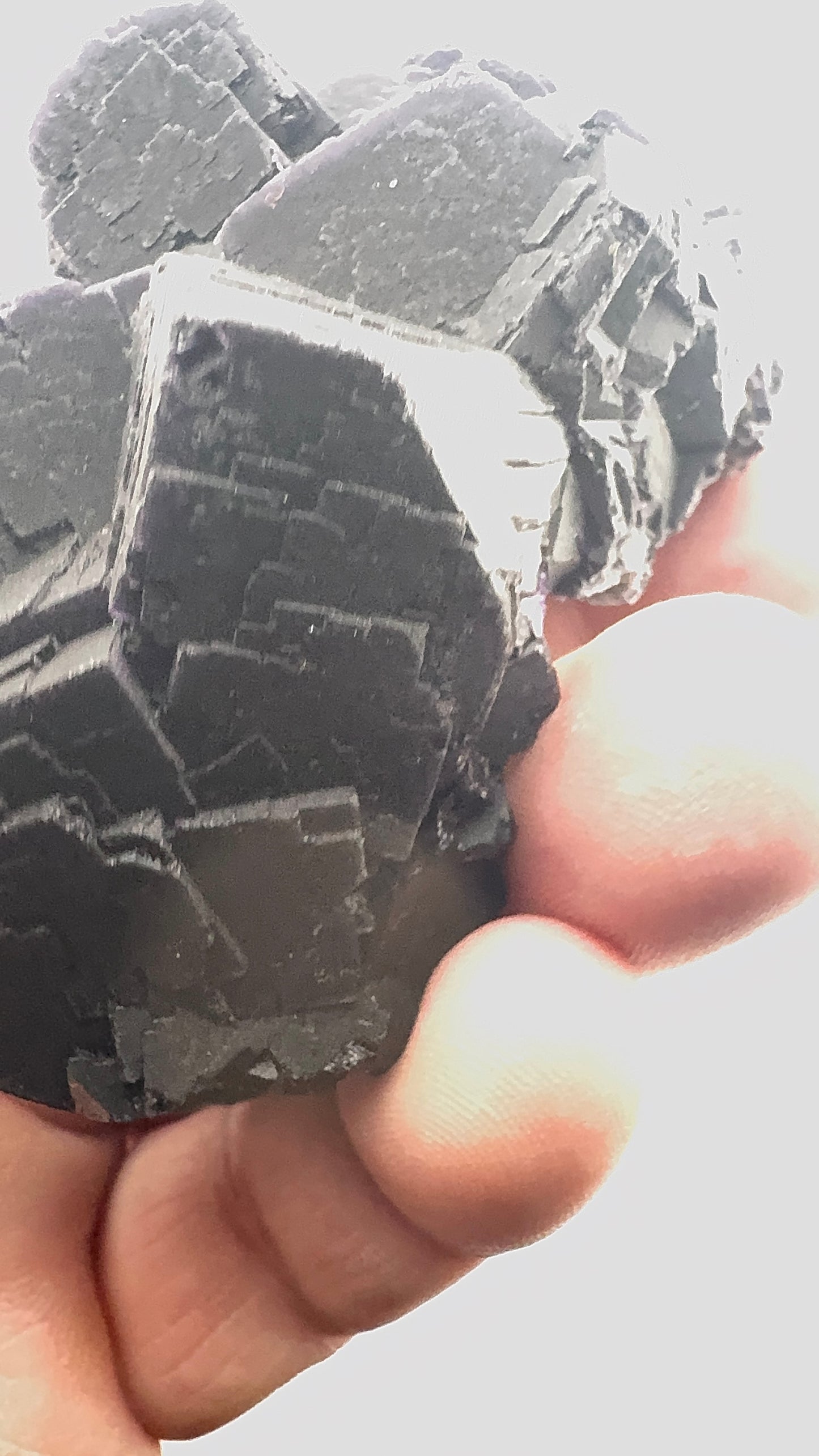 Black Rose Fluorite (BR11)