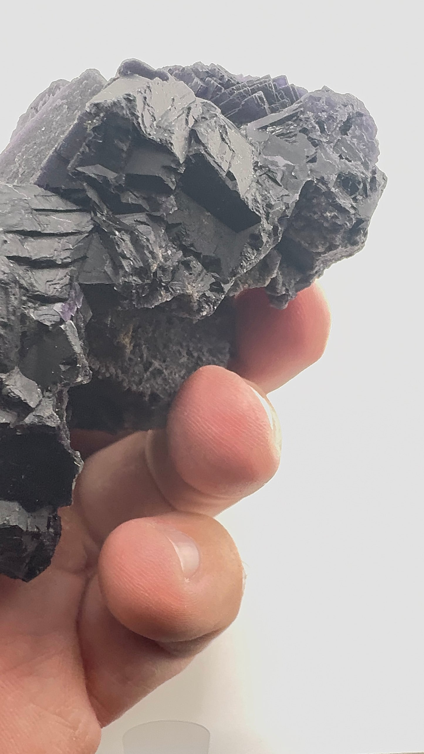 Black Rose Fluorite (BR11)