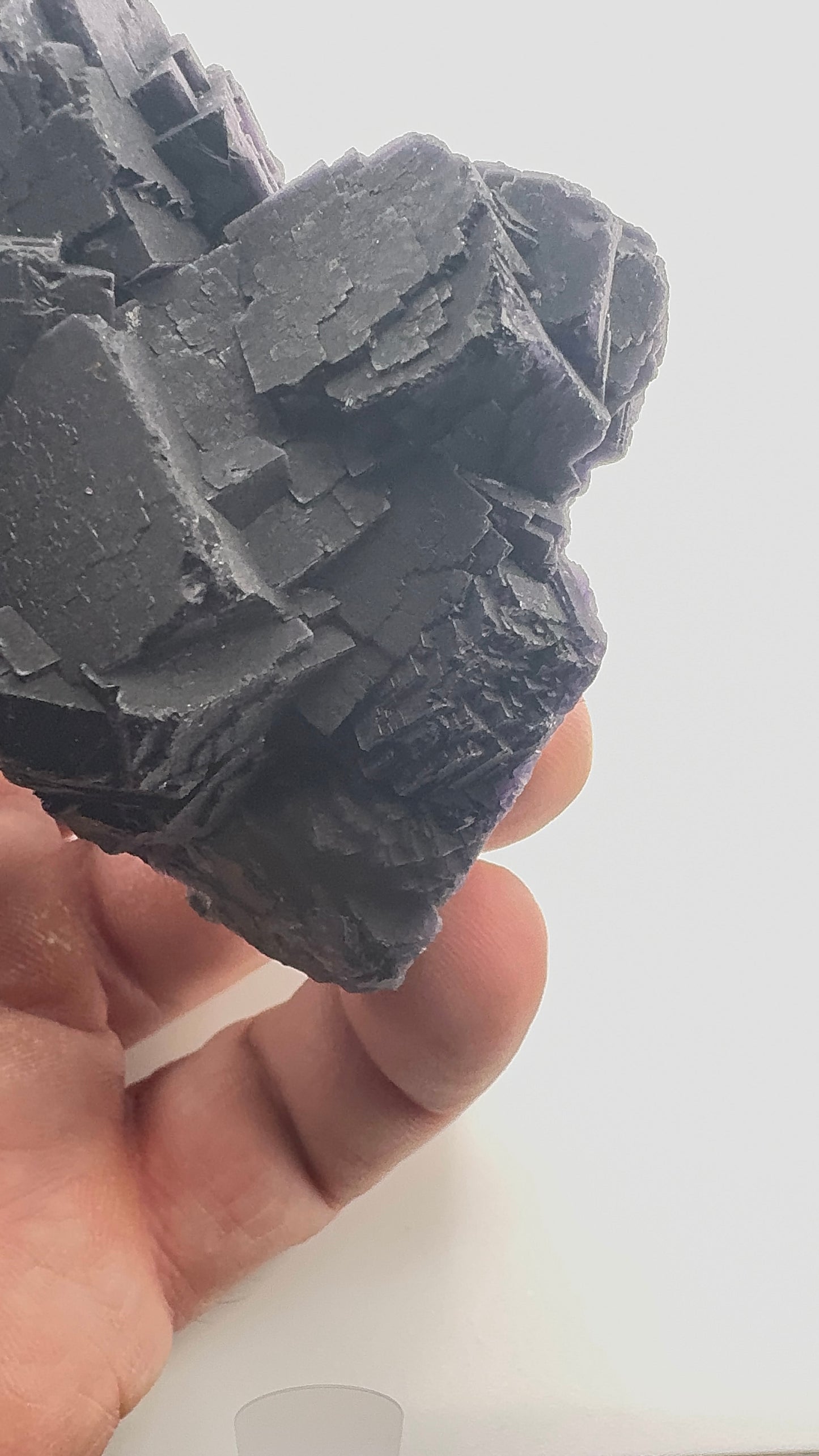 Black Rose Fluorite (BR11)