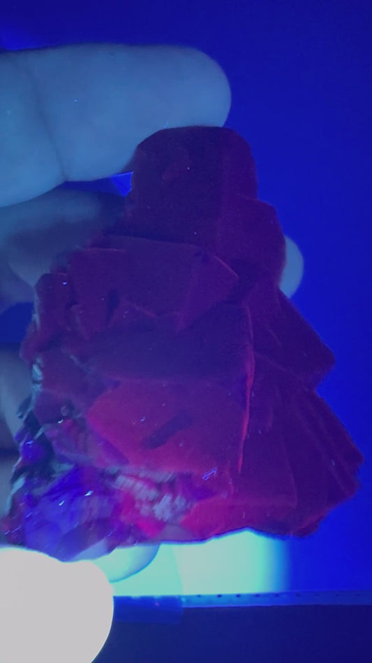 Black Rose Fluorite (BR8)