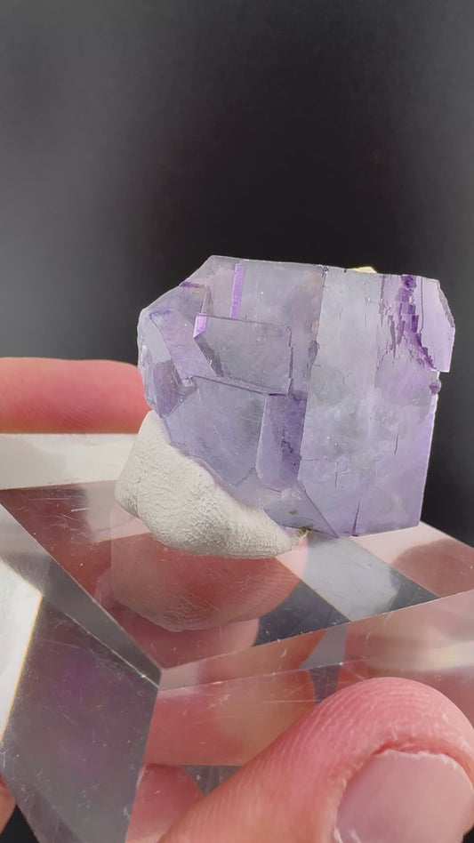 Purple Phantom Cube (B11)