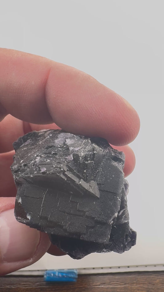 Black Rose Fluorite (BR5)