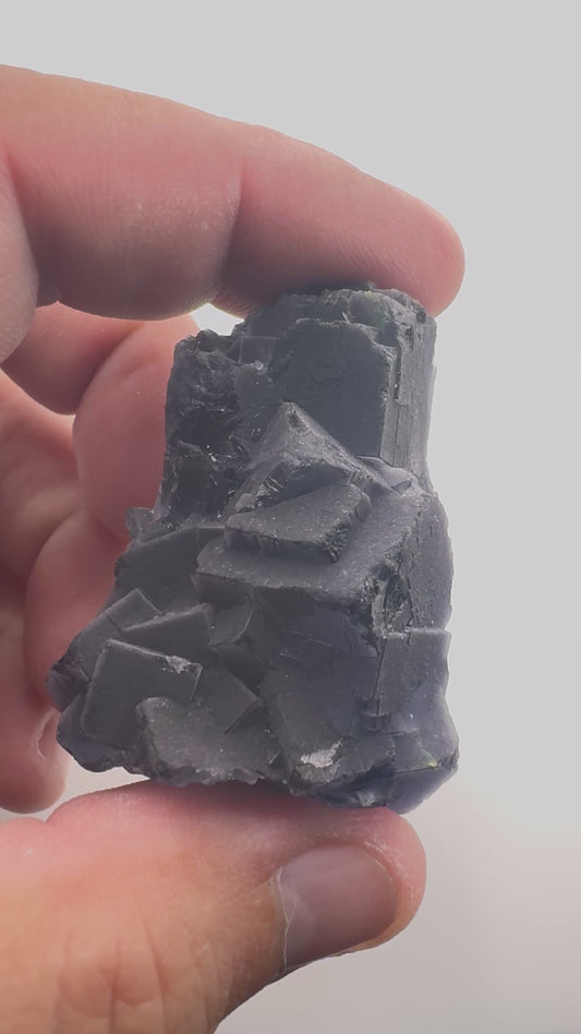 Black Rose Fluorite (BR6)